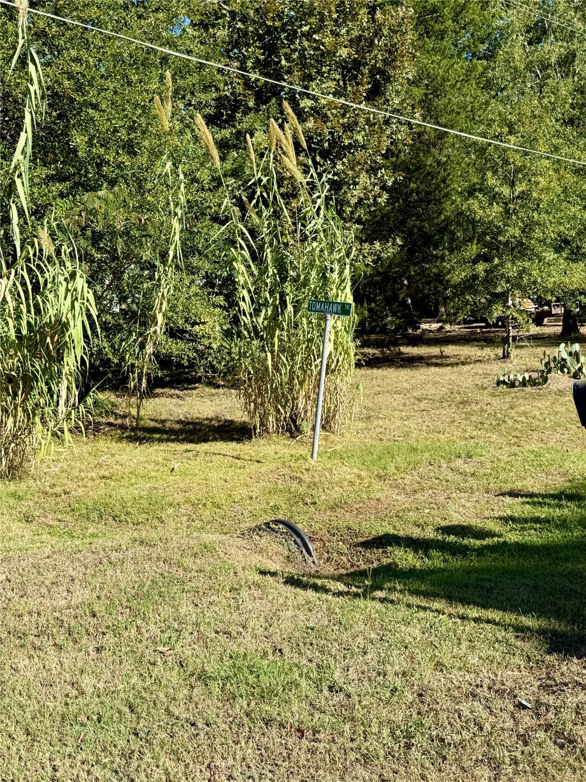 N/a Lot 87 Tomahawk Trail Property Photo 4