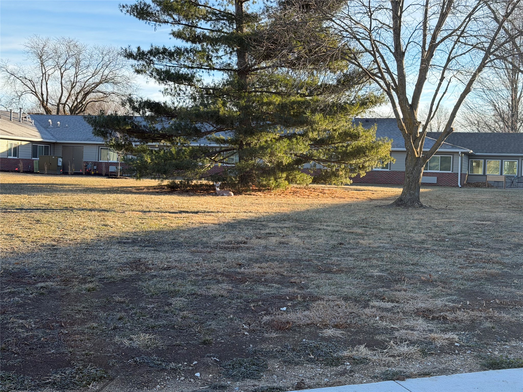 1700 Park Street Property Photo 7
