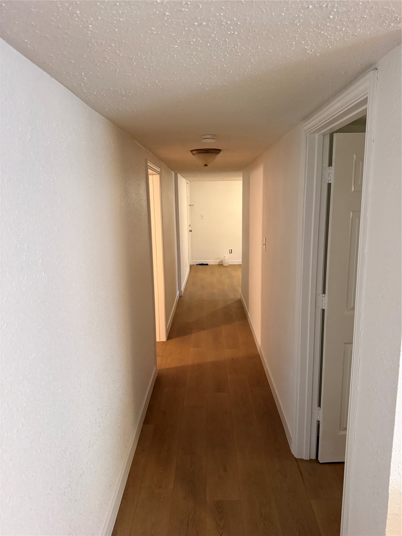 1713 (down) 47th Street Property Photo 3