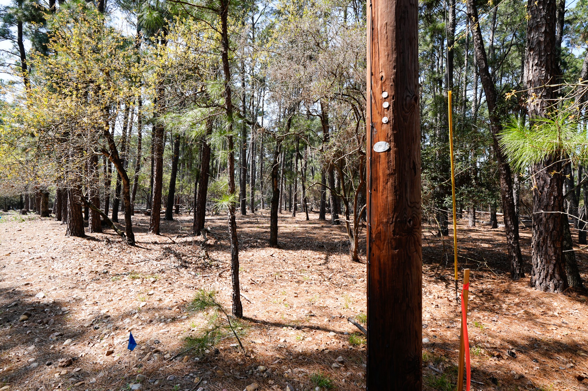 1001 Stephen Lane Property Photo