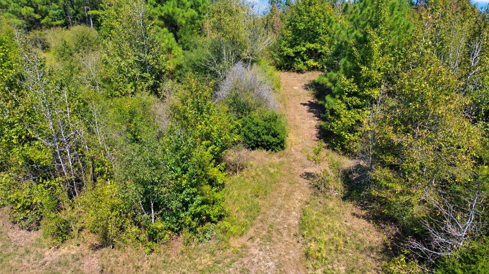 108241000 County Road 2913 Property Photo 11
