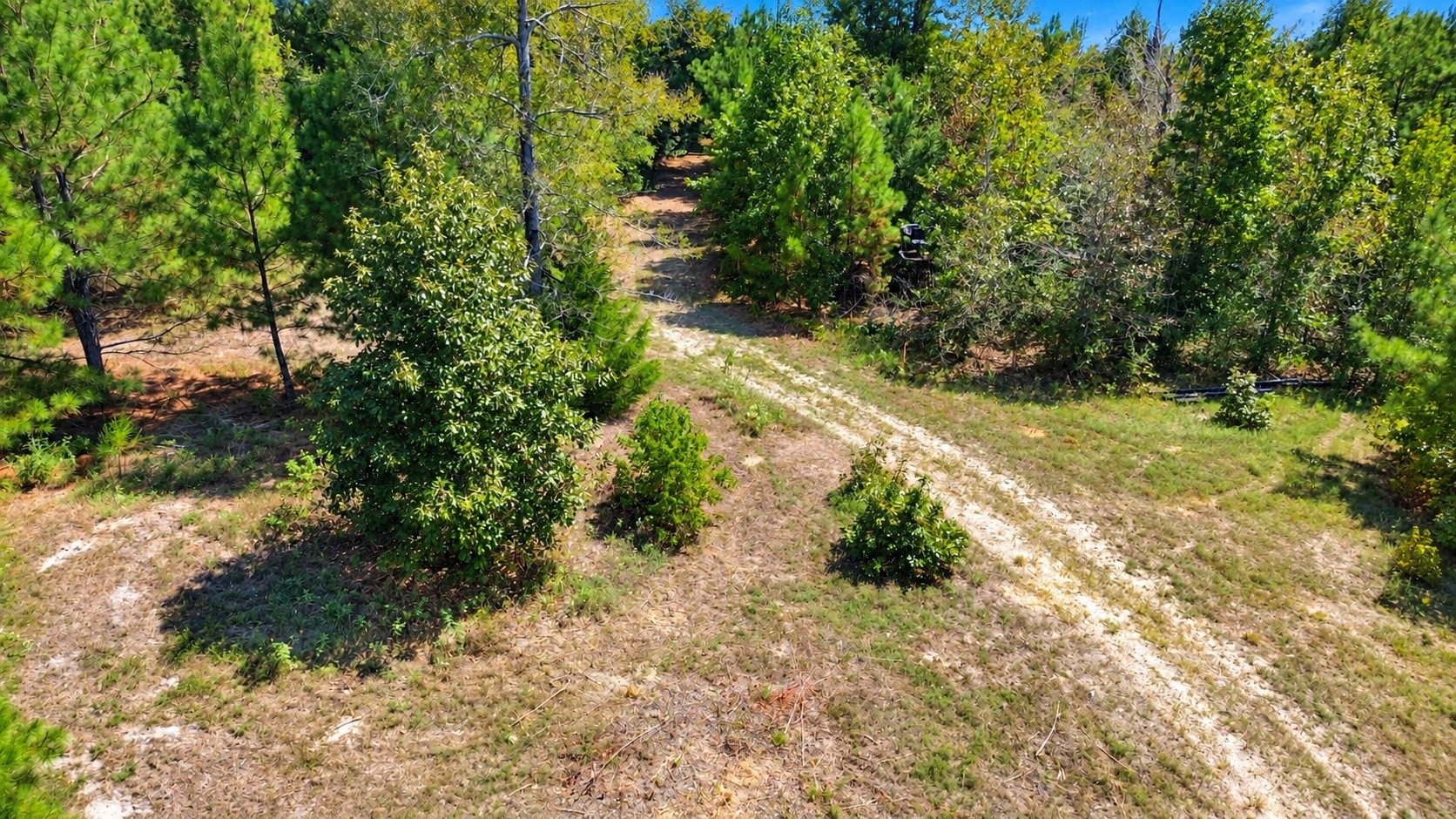 108241000 County Road 2913 Property Photo 12
