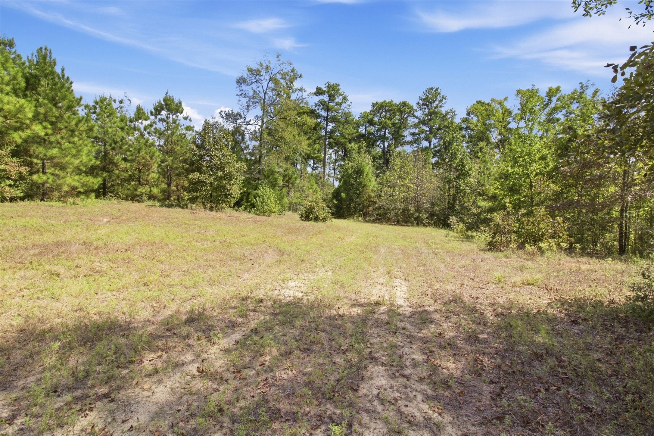 108241000 County Road 2913 Property Photo 13