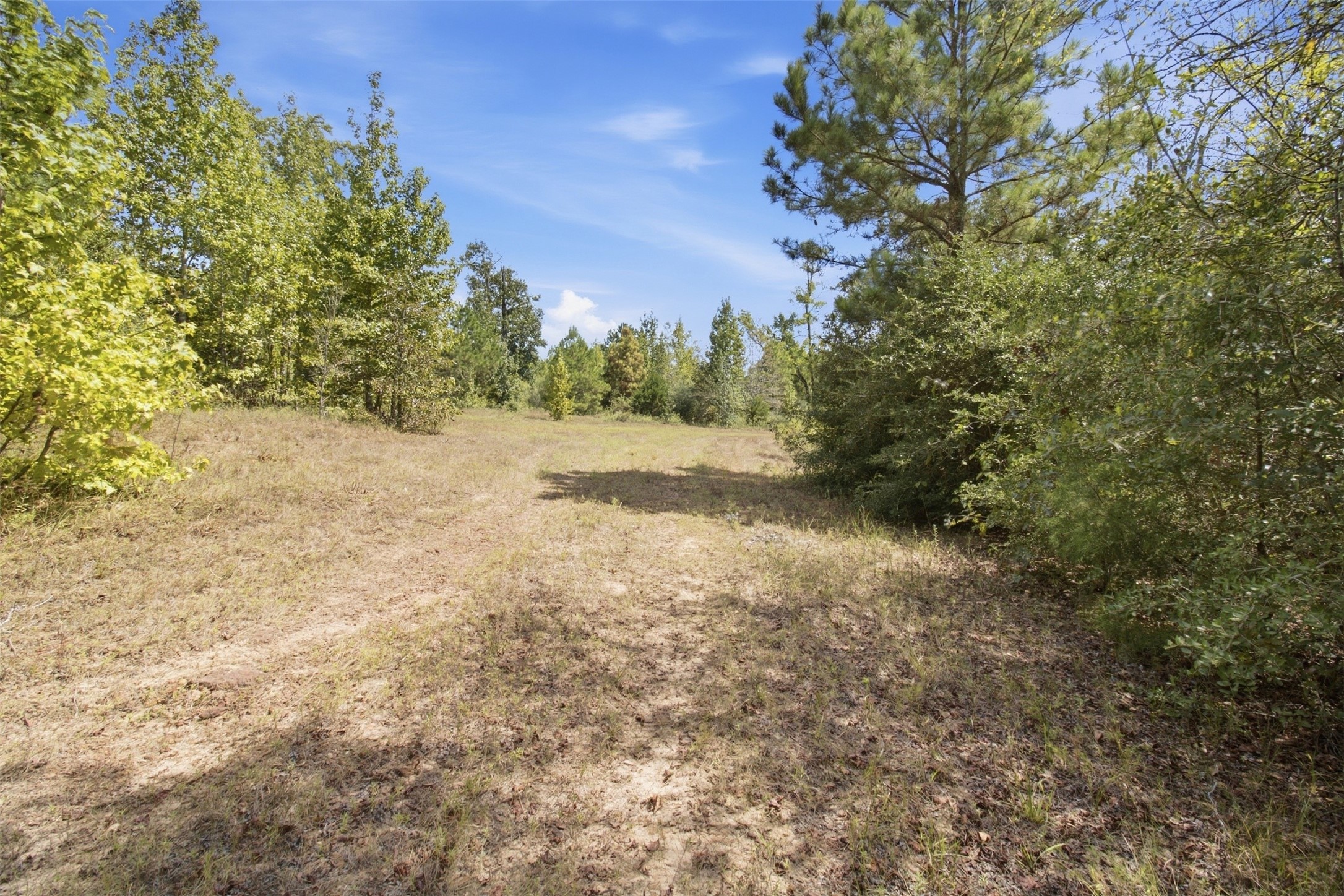 108241000 County Road 2913 Property Photo 14