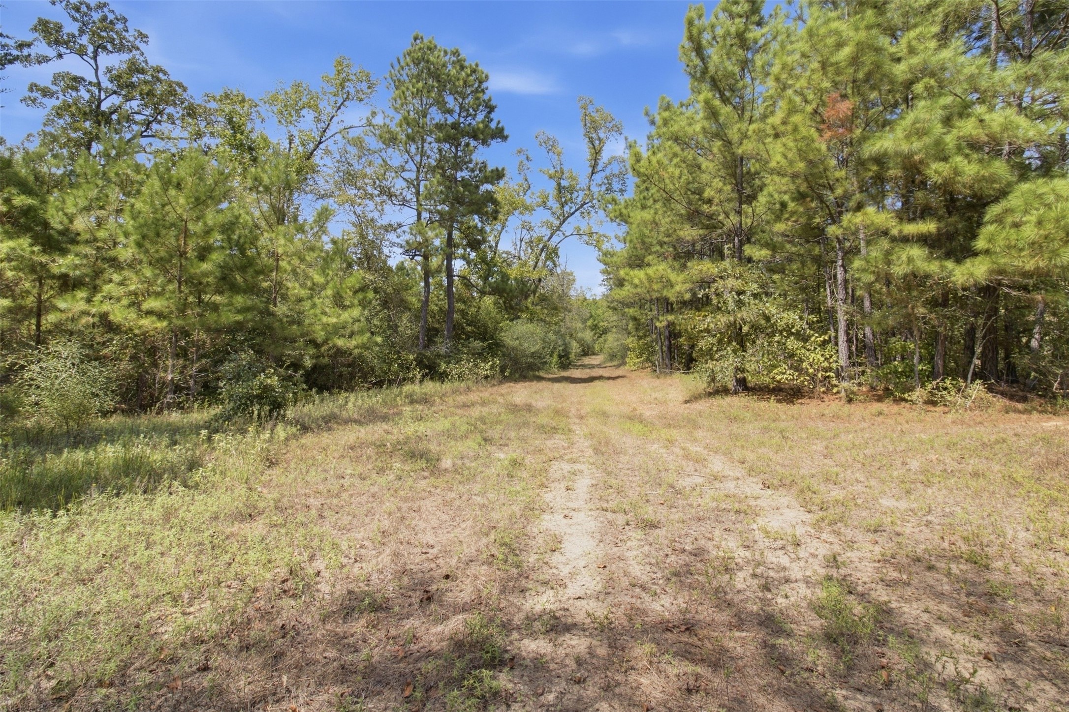 108241000 County Road 2913 Property Photo 15