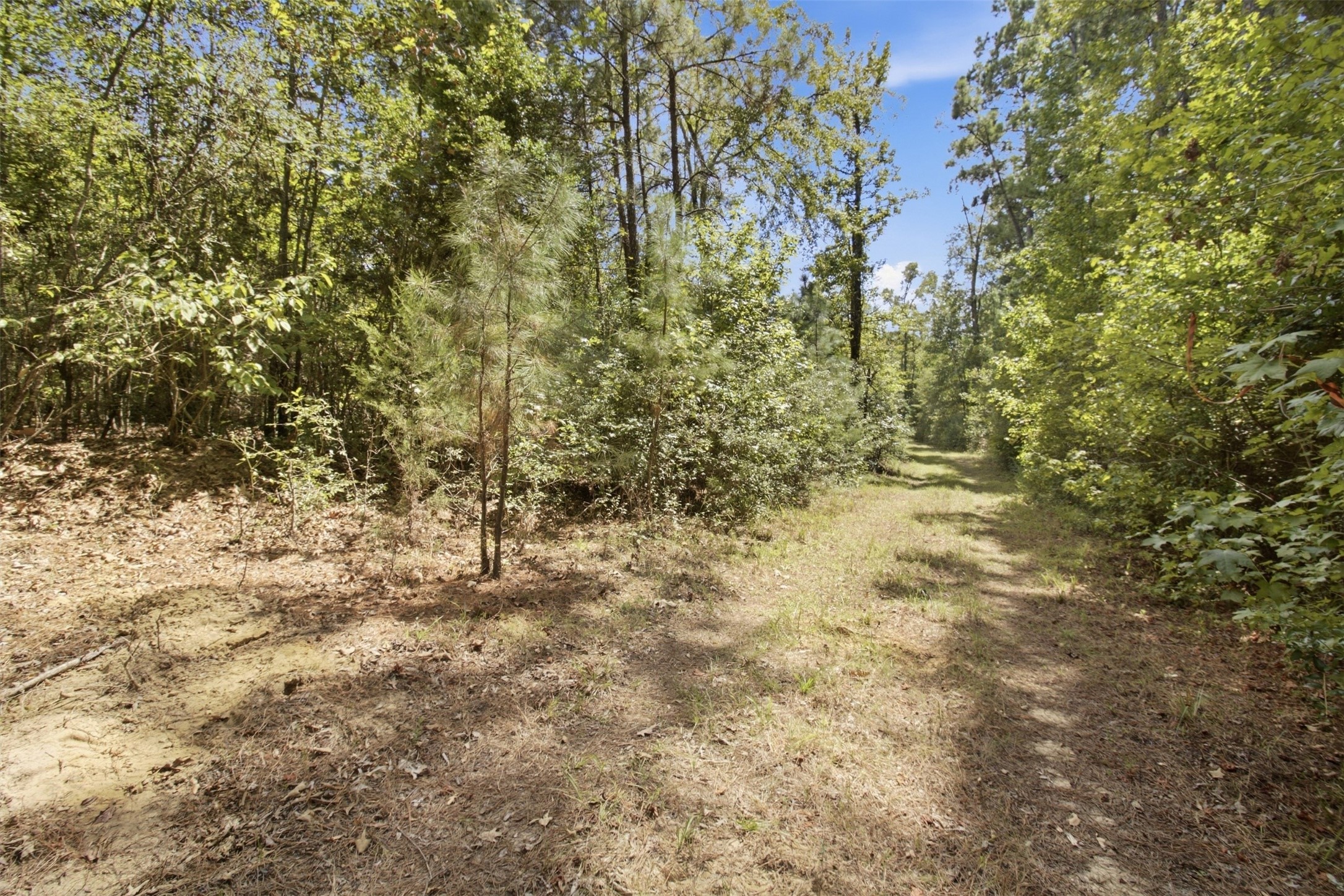 108241000 County Road 2913 Property Photo 16