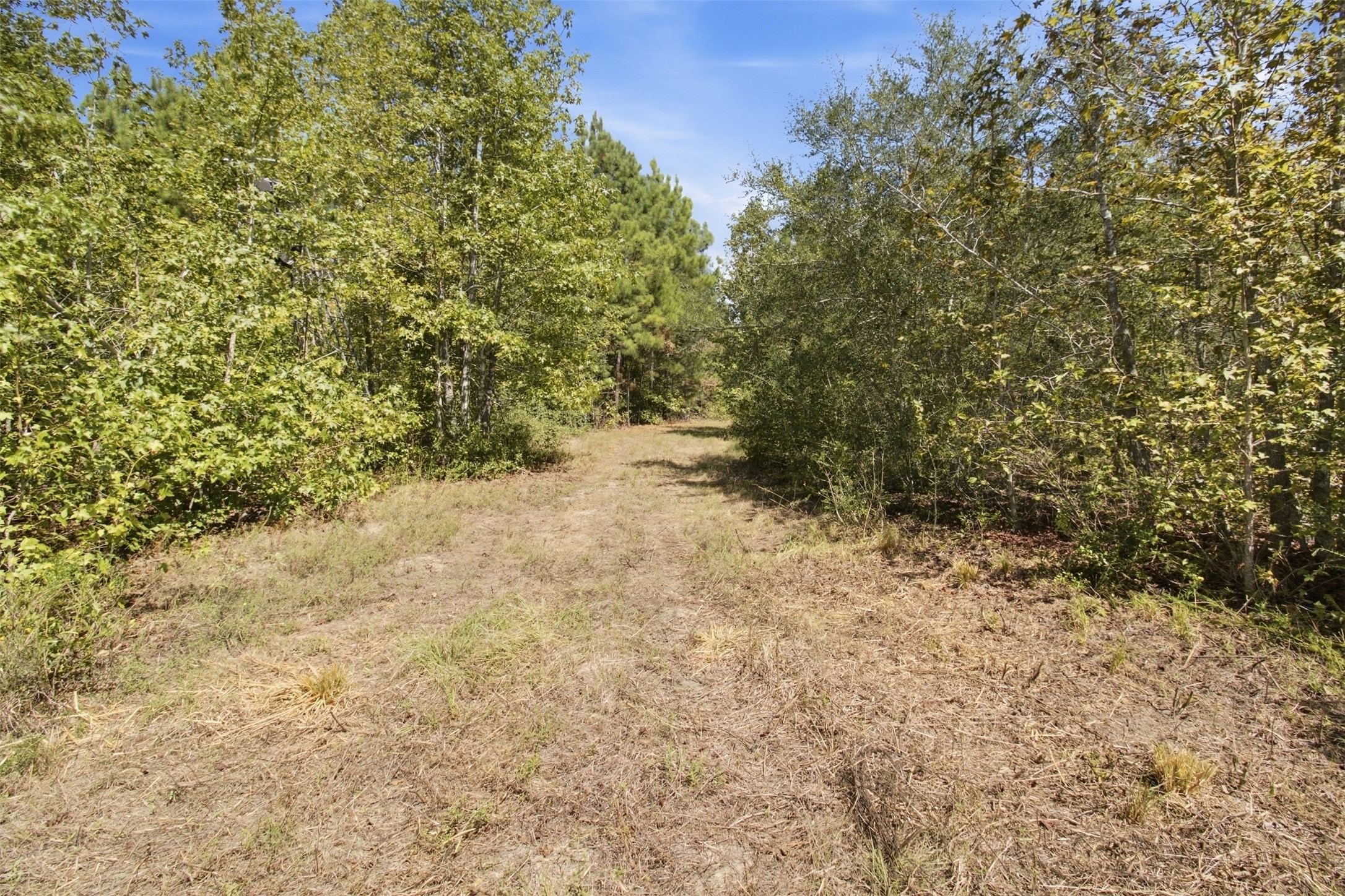 108241000 County Road 2913 Property Photo 17