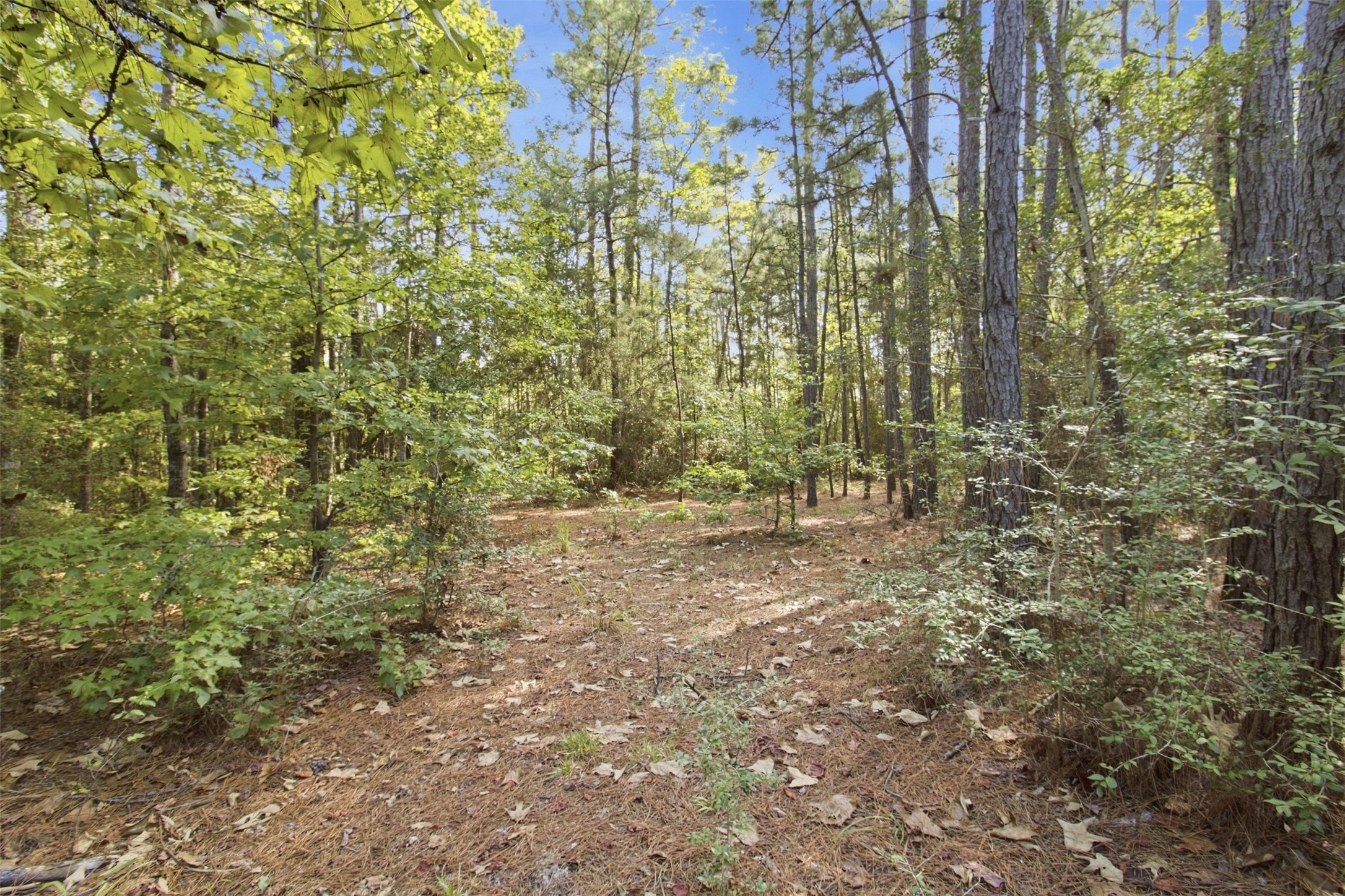 108241000 County Road 2913 Property Photo 18