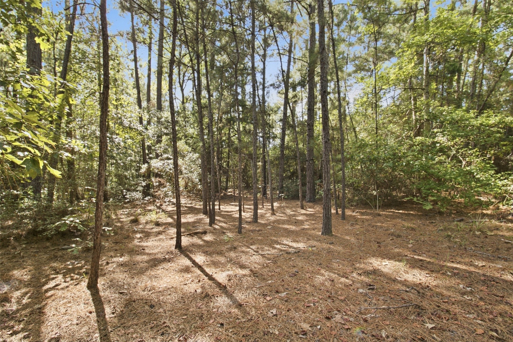 108241000 County Road 2913 Property Photo 19