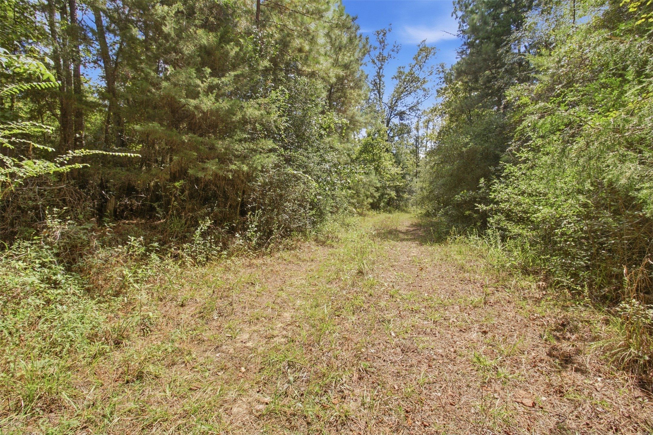 108241000 County Road 2913 Property Photo 20