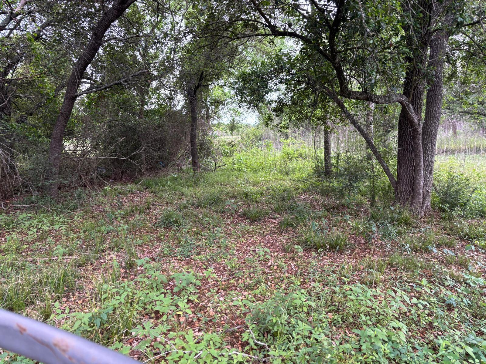 00 Fm 1489, Brookshire TX 77423 Property Photo 1