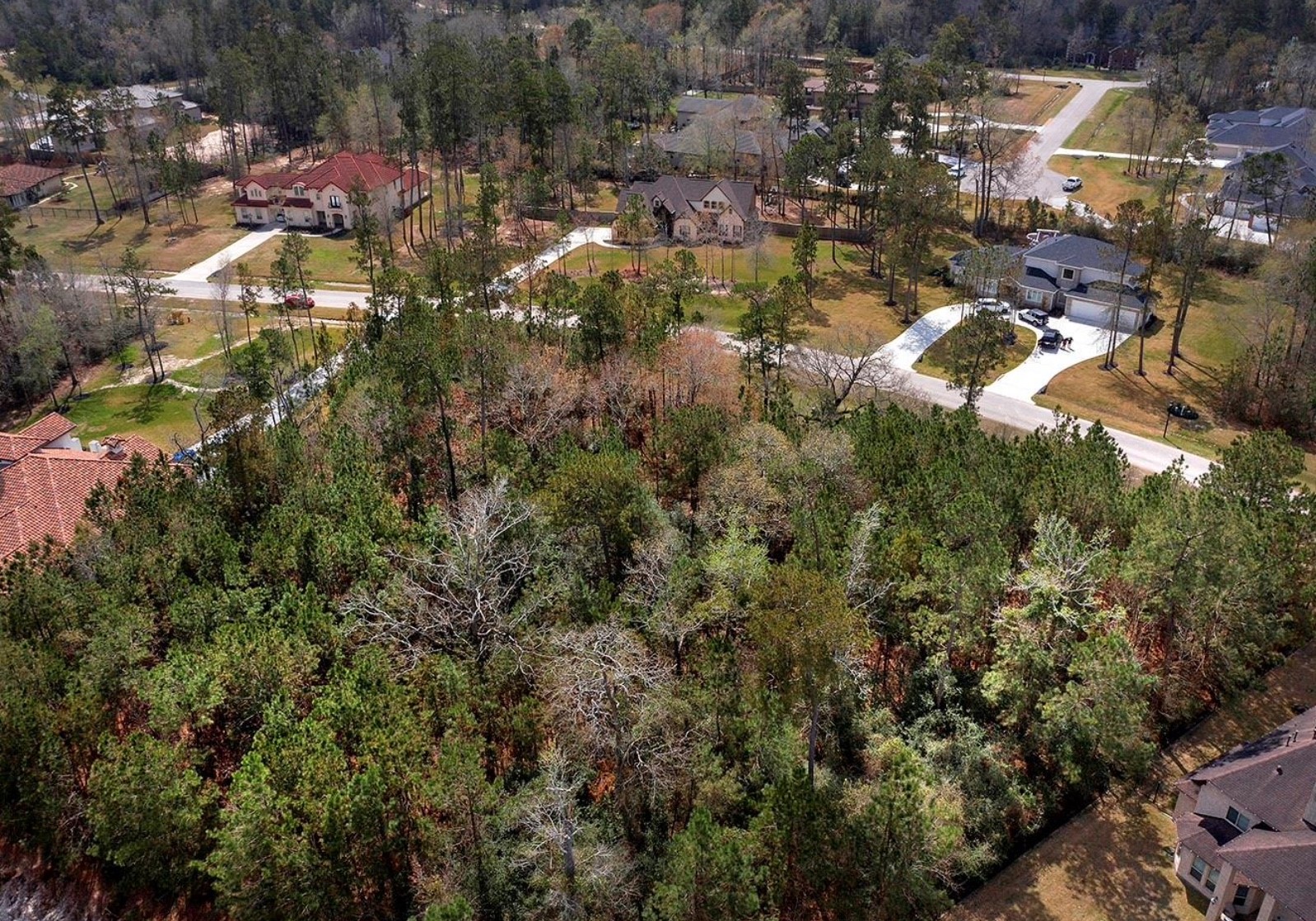 27587 S Lazy Meadow Way Property Photo 17