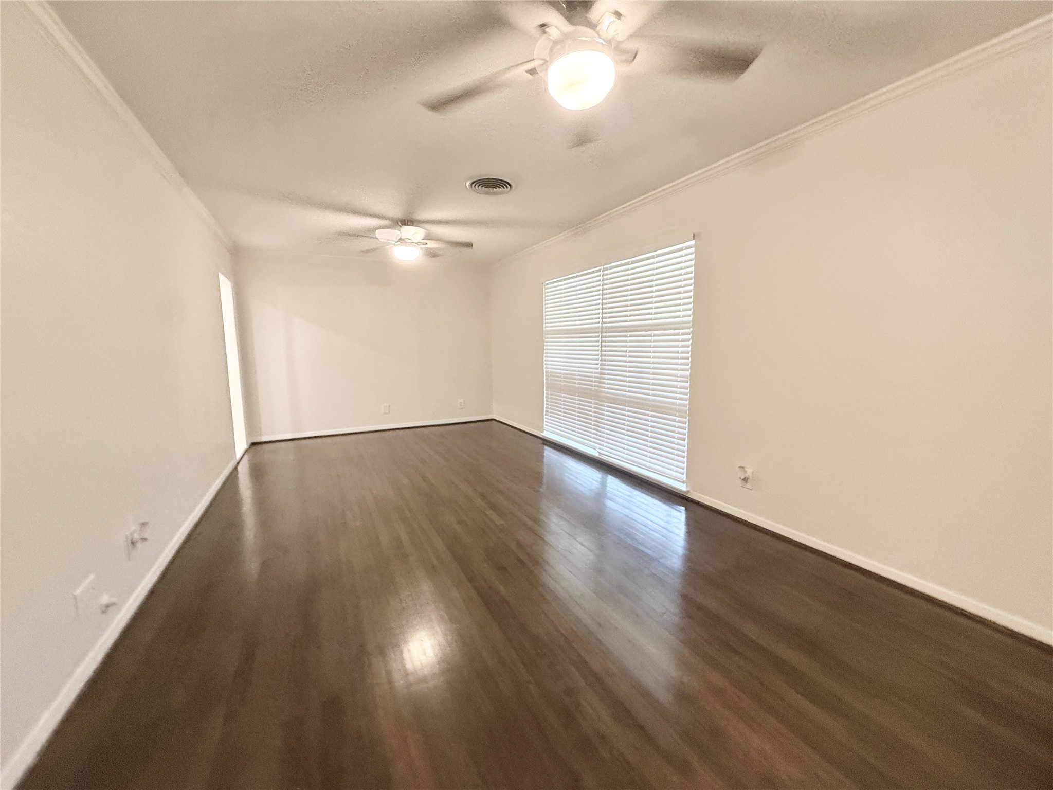 233 Caladium Street Property Photo 5