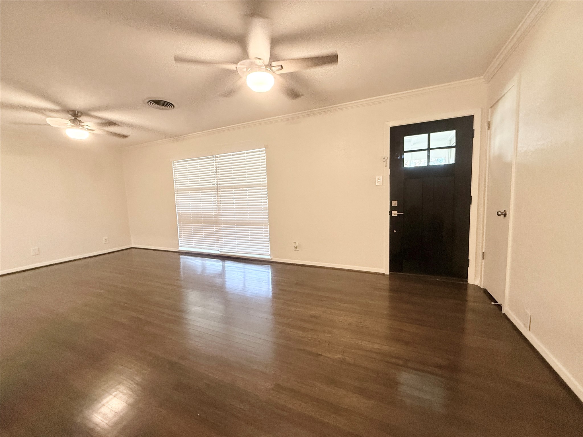233 Caladium Street Property Photo 6