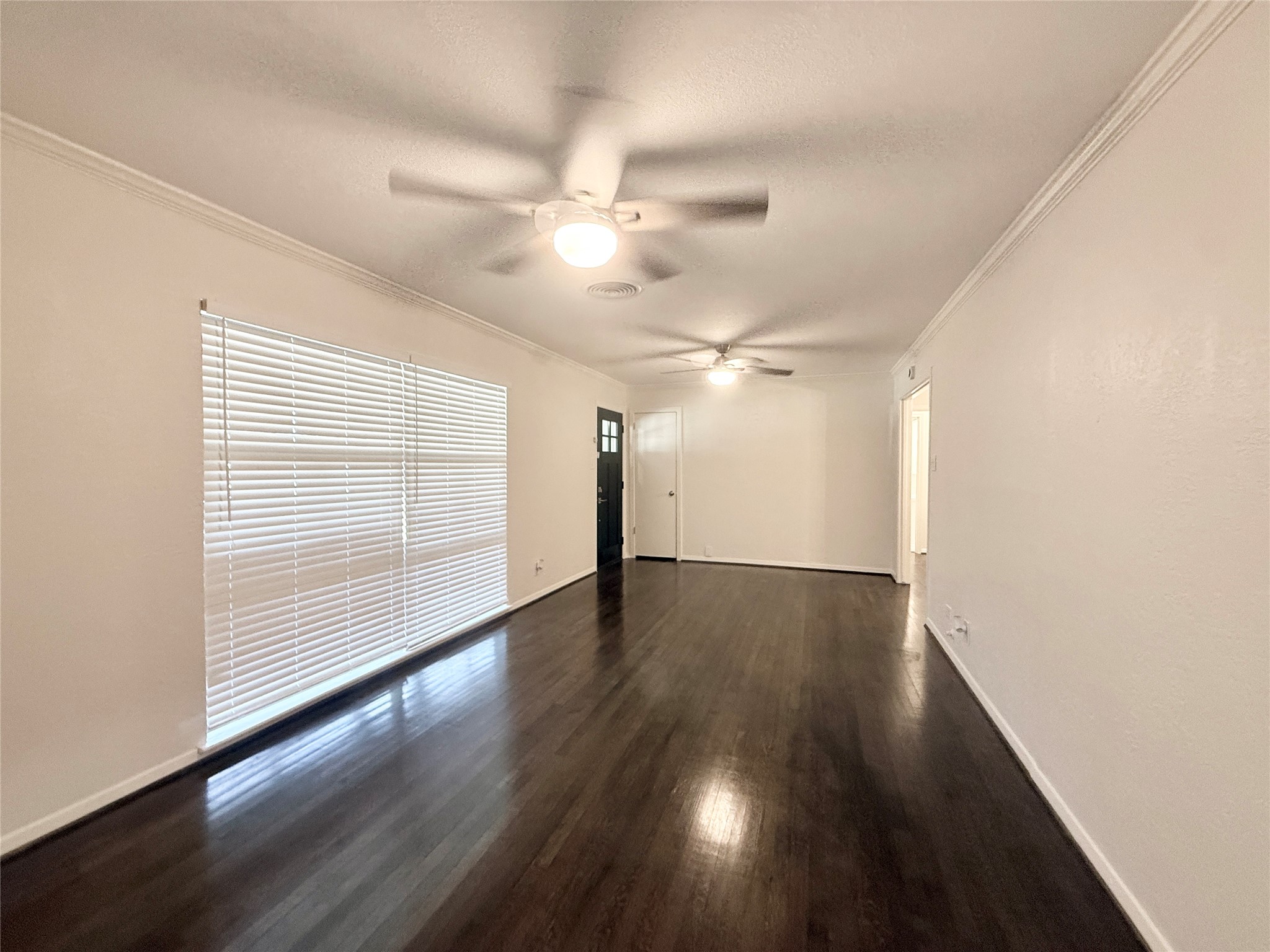 233 Caladium Street Property Photo 7