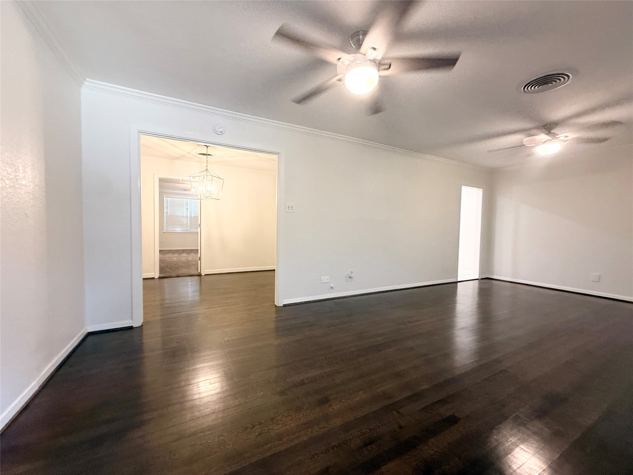 233 Caladium Street Property Photo 8