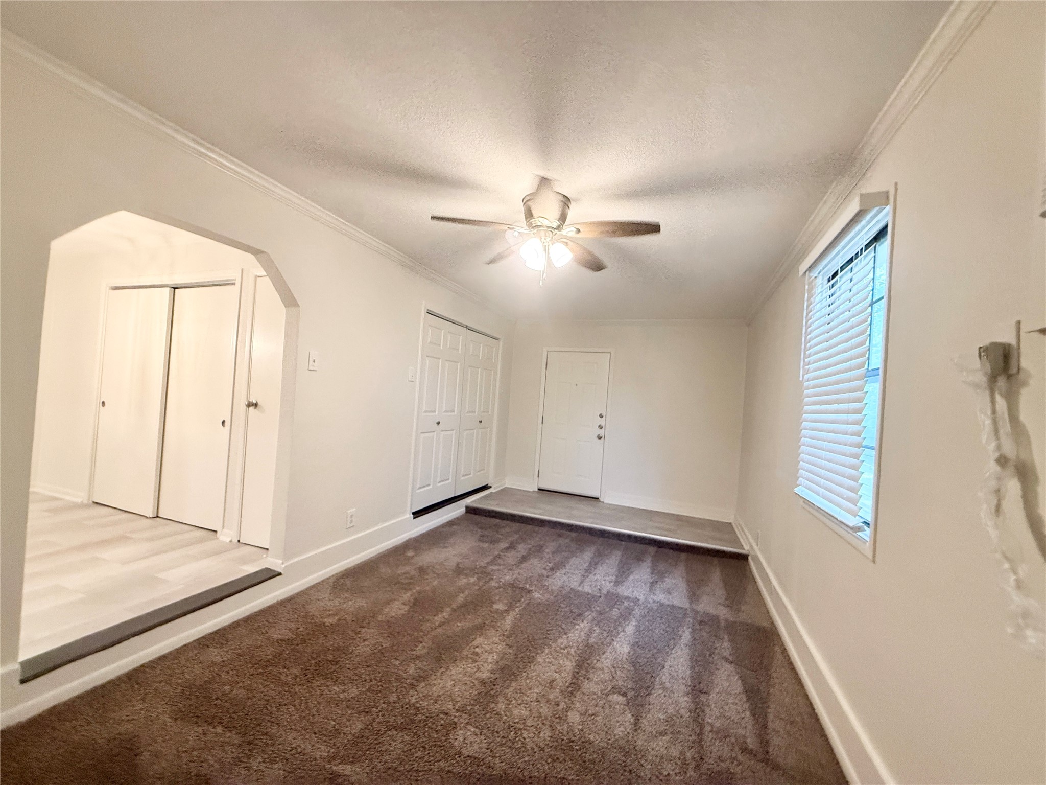 233 Caladium Street Property Photo 16