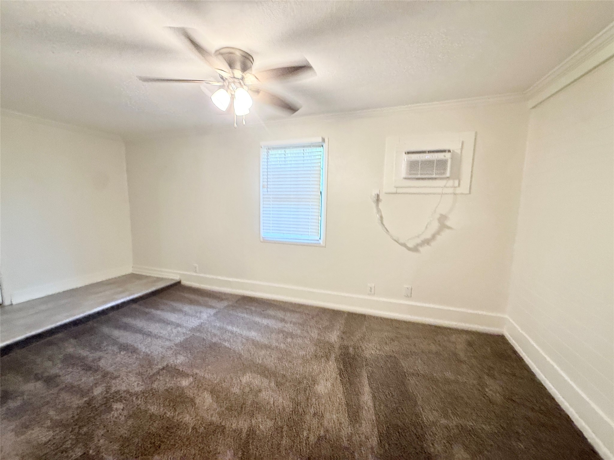 233 Caladium Street Property Photo 17