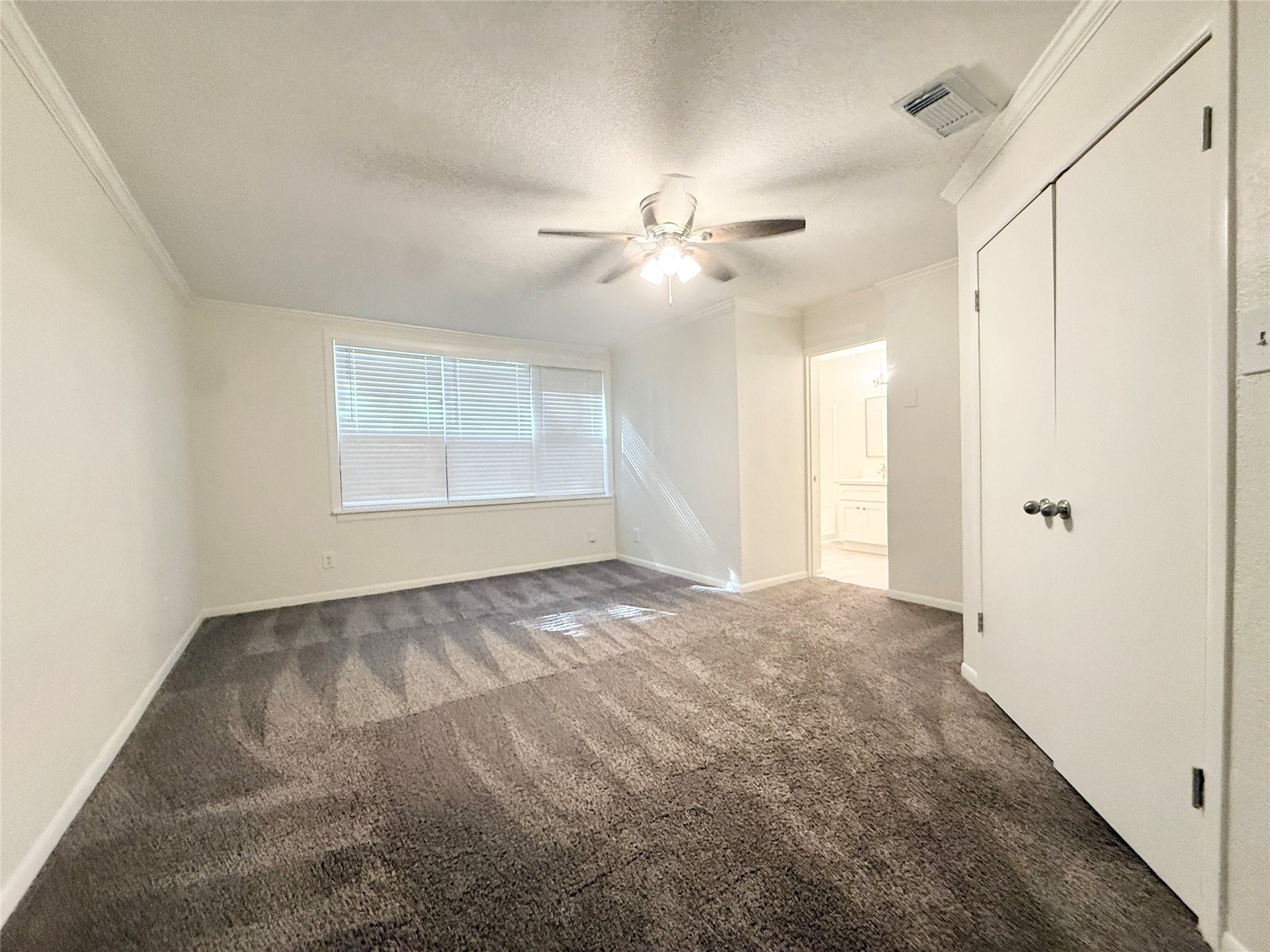 233 Caladium Street Property Photo 19