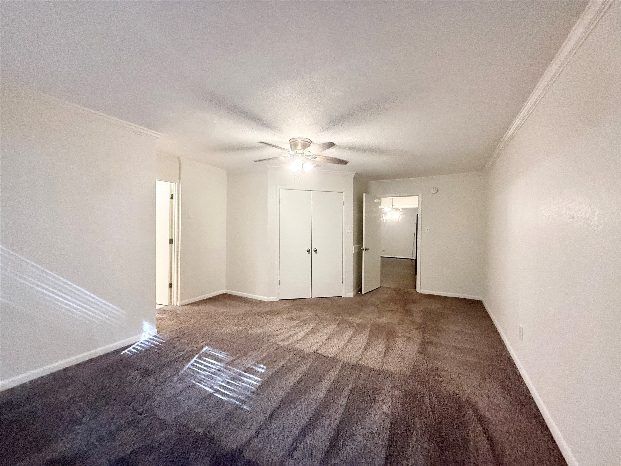 233 Caladium Street Property Photo 20
