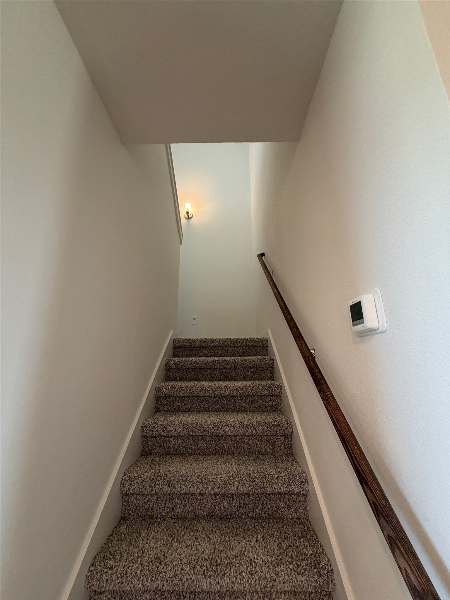 10661 Berry Branch Property Photo 13