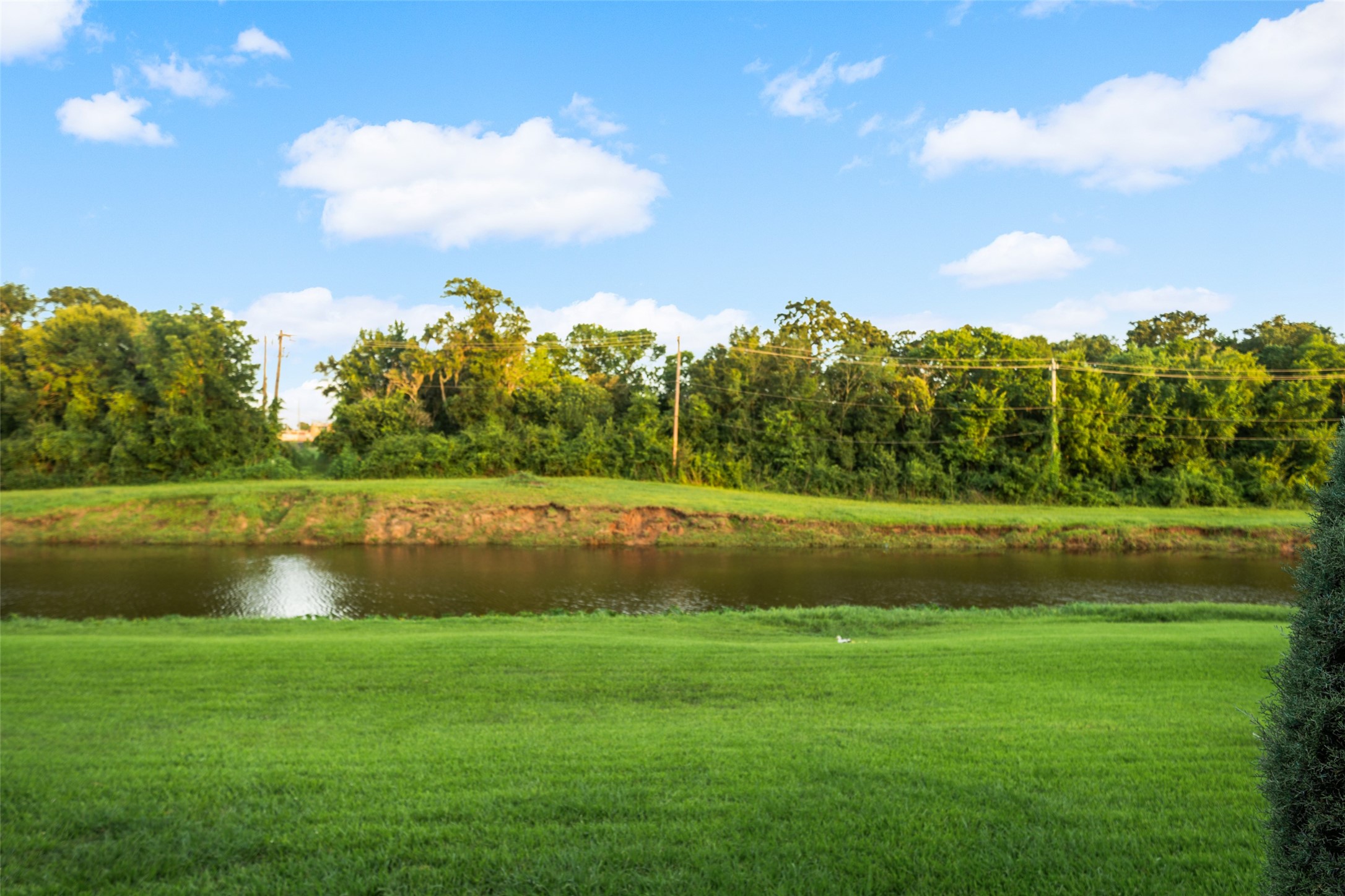 16310 Brook Forest Drive Property Photo 37