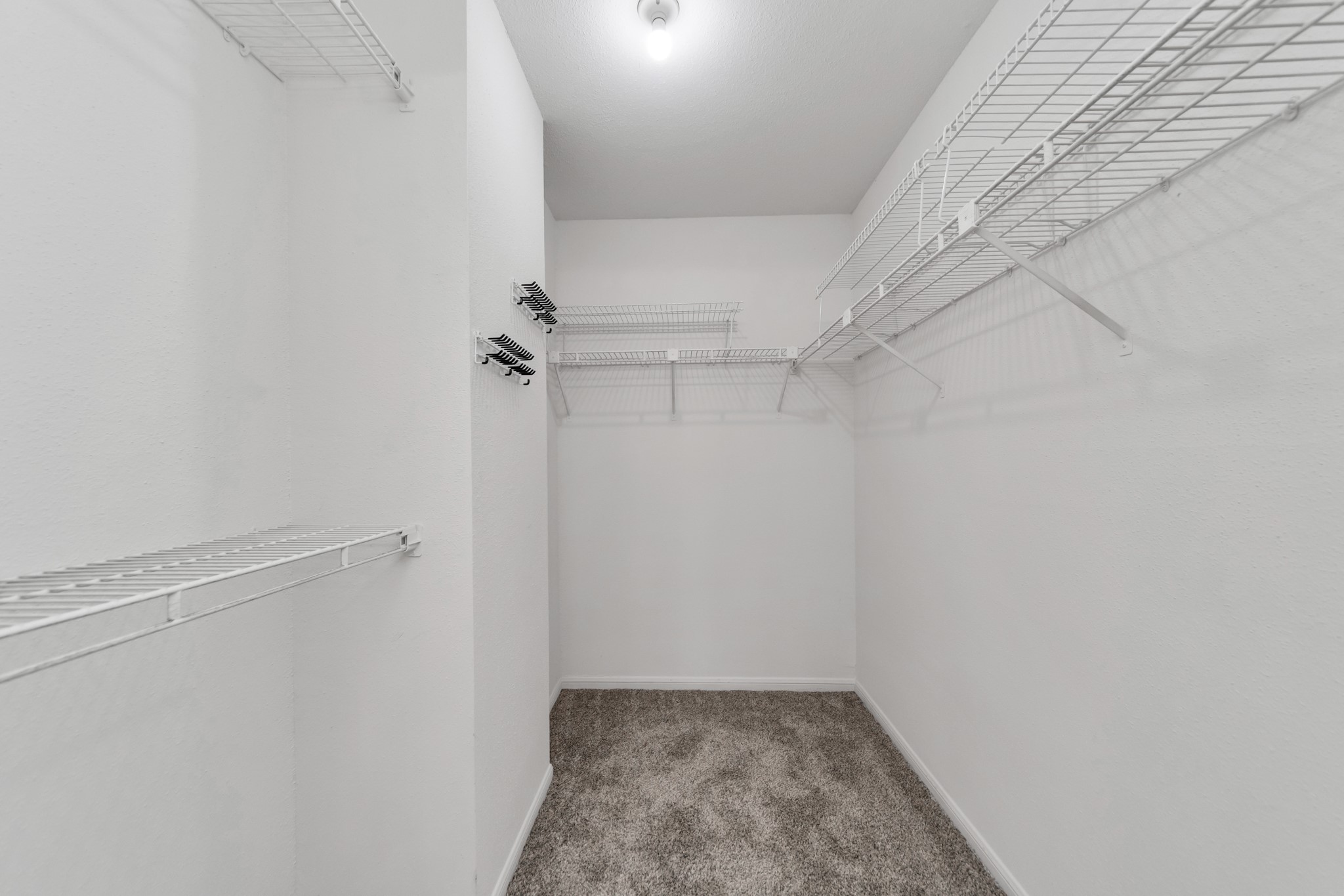 9850 Pagewood Lane 1304 Property Photo 20
