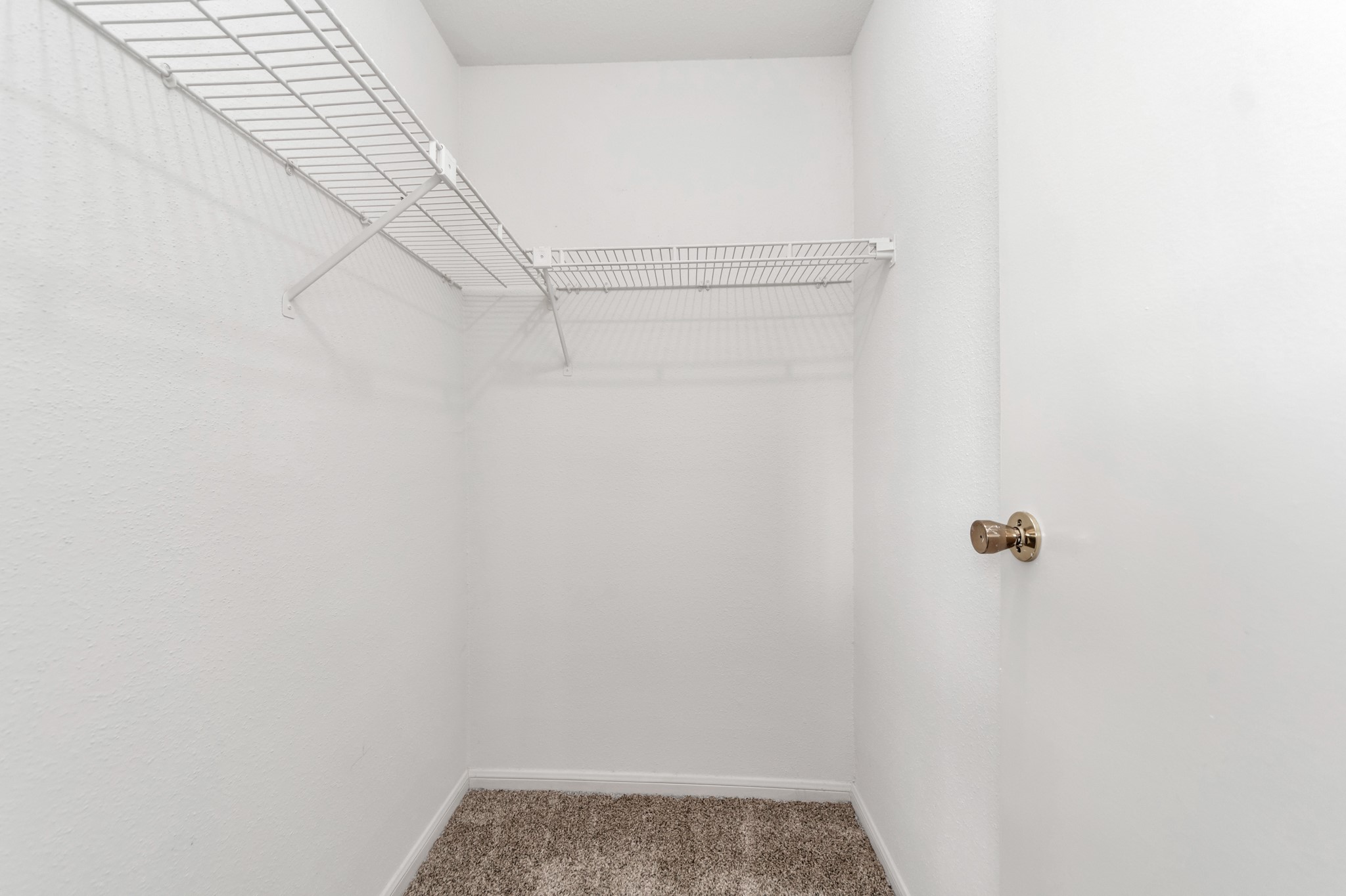 9850 Pagewood Lane 1304 Property Photo 28