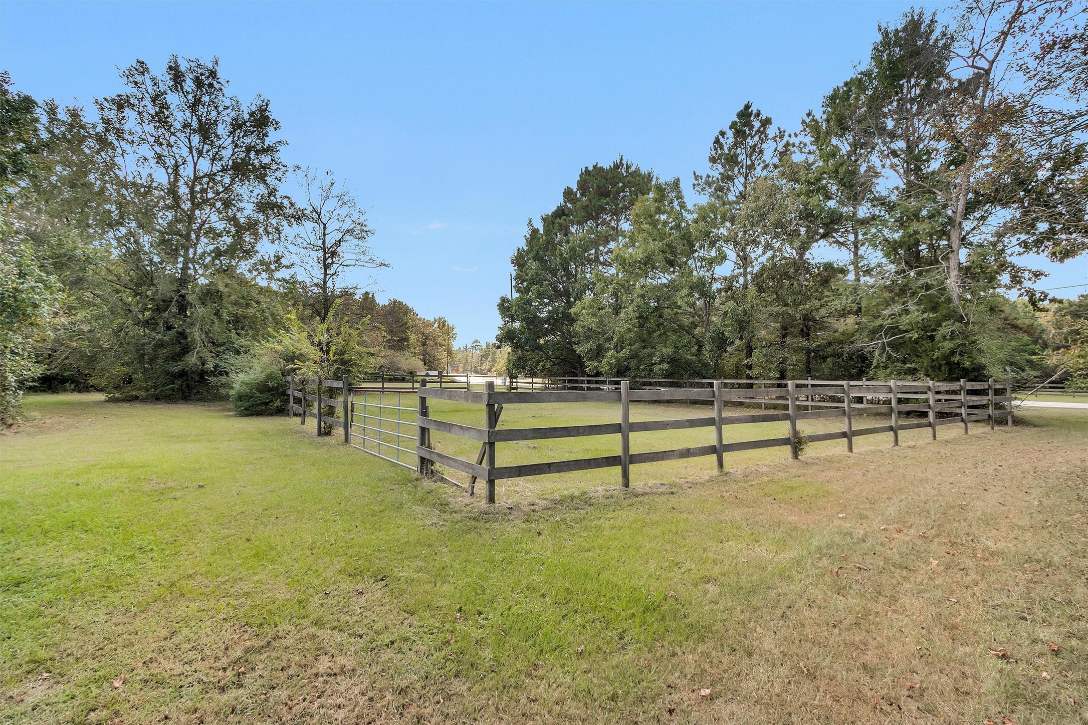 7646 Millies Run Road Property Photo 35