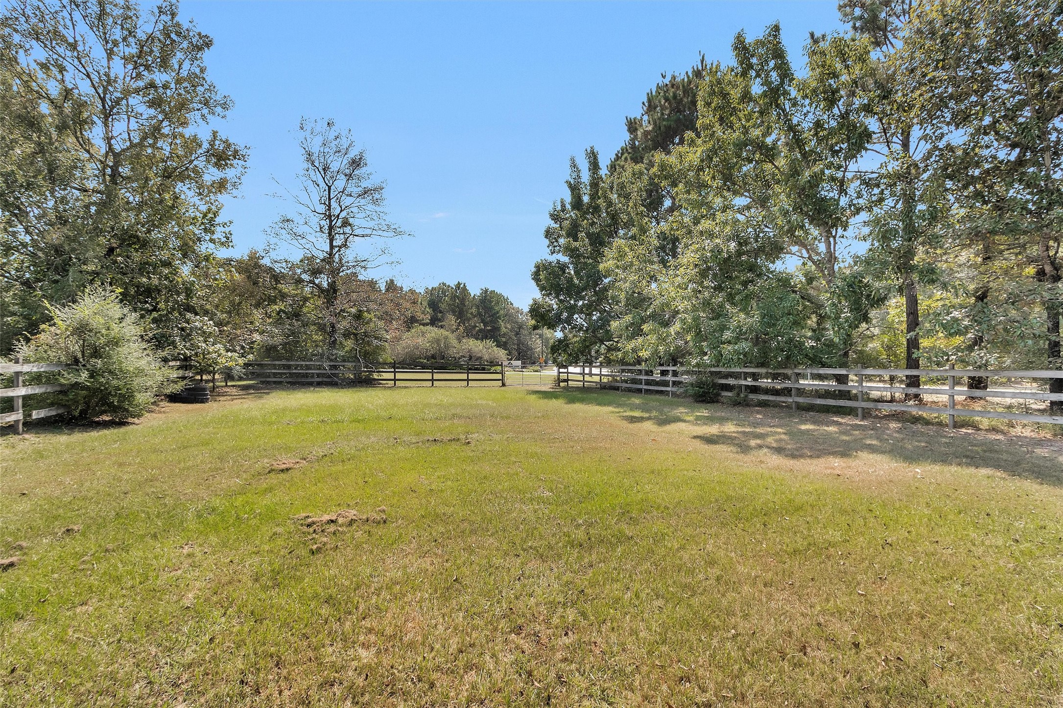 7646 Millies Run Road Property Photo 36