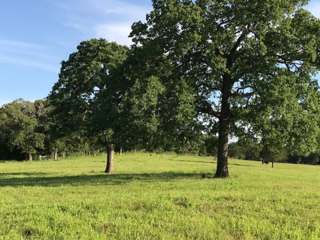 1188 Pr 6030 Property Photo 1