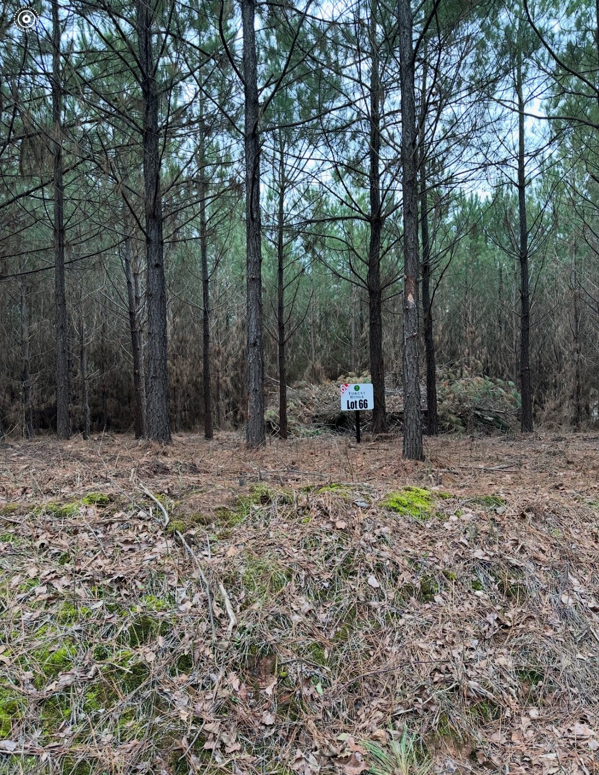 Tbd Forest Ridge Property Photo 1