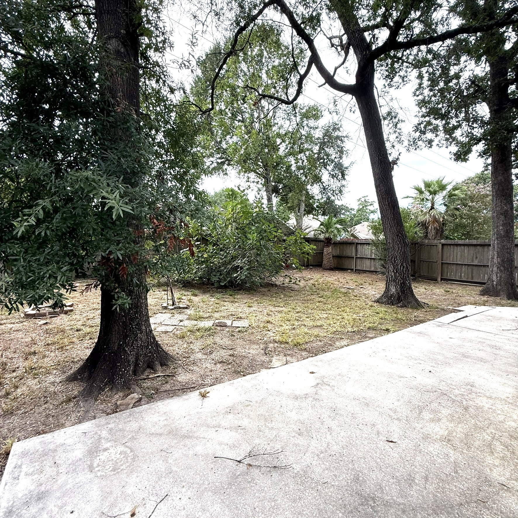 2203 Blossom Creek Trail Property Photo 19