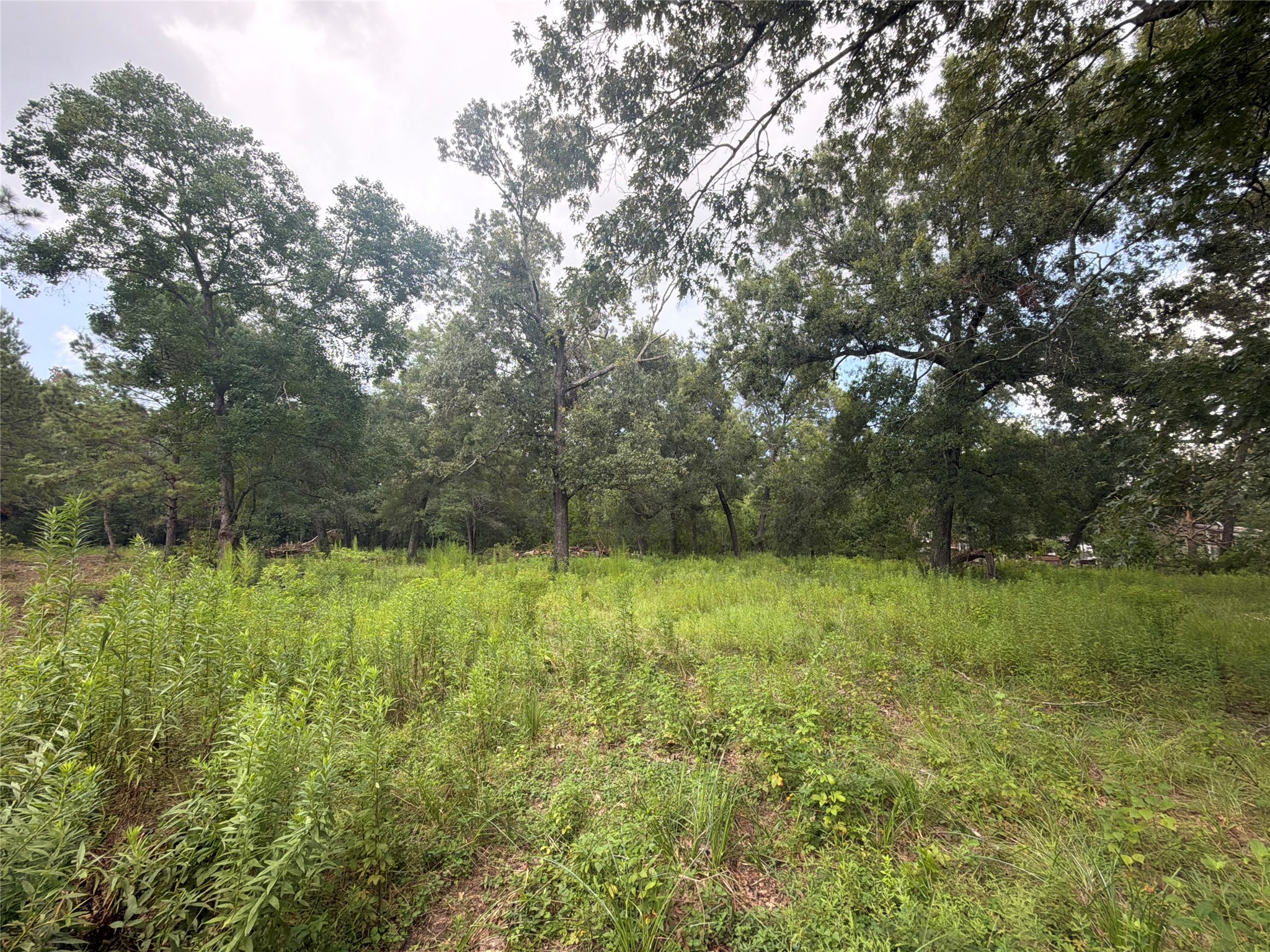 0 County Road 6502 W Property Photo 1