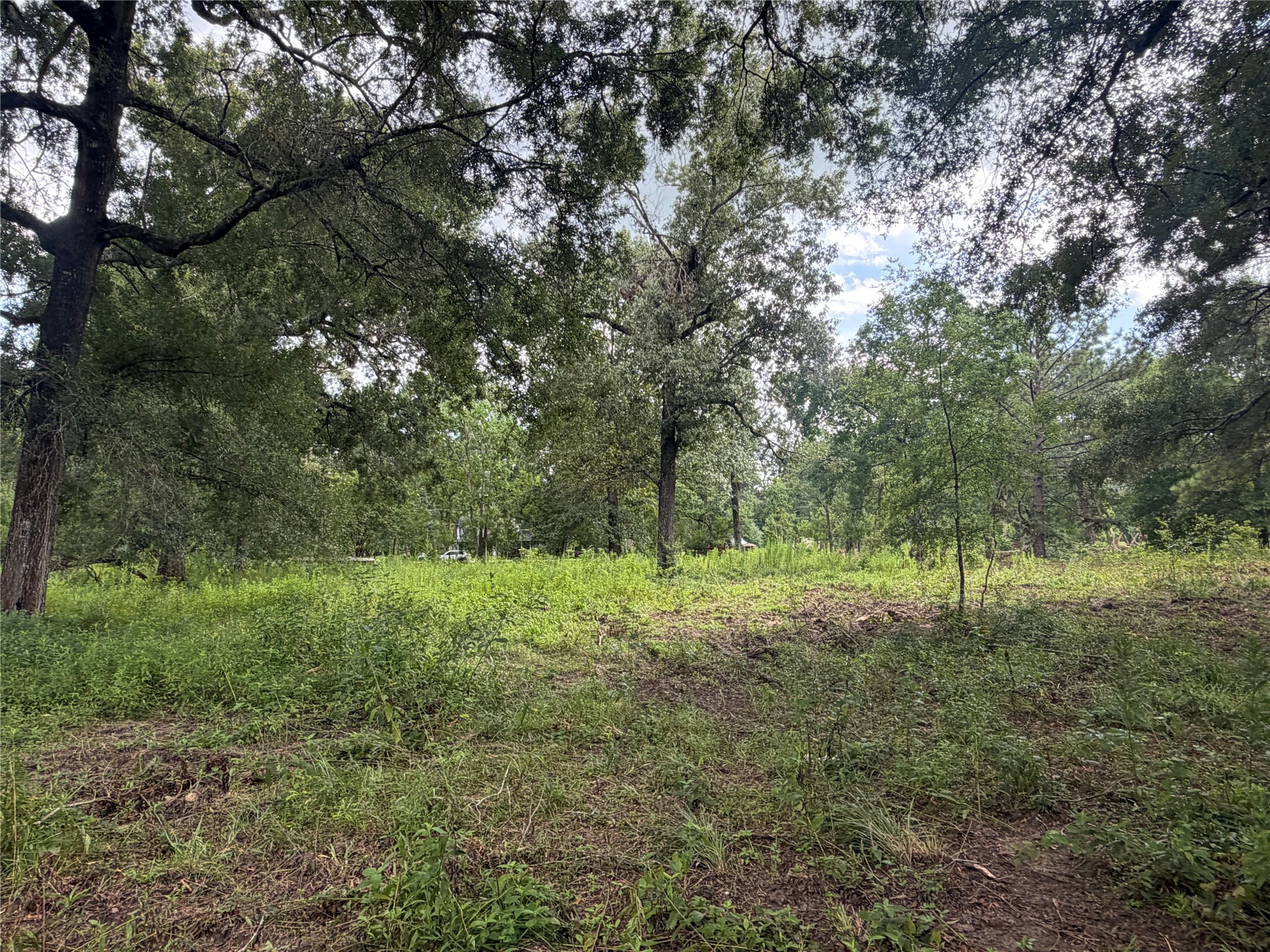 0 County Road 6502 W Property Photo 2