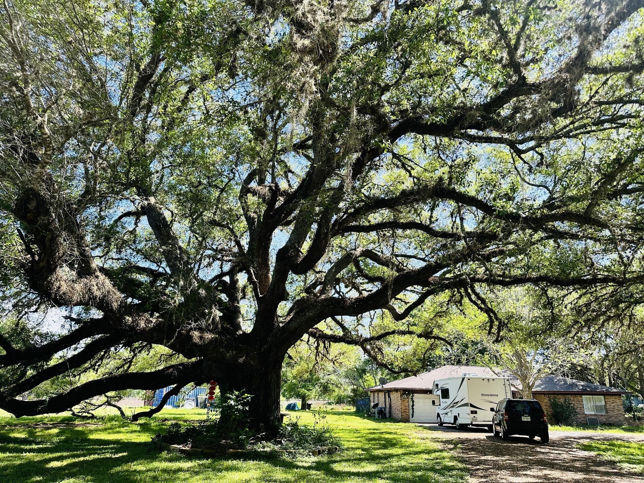 1819 Y U Jones Road Property Photo 2