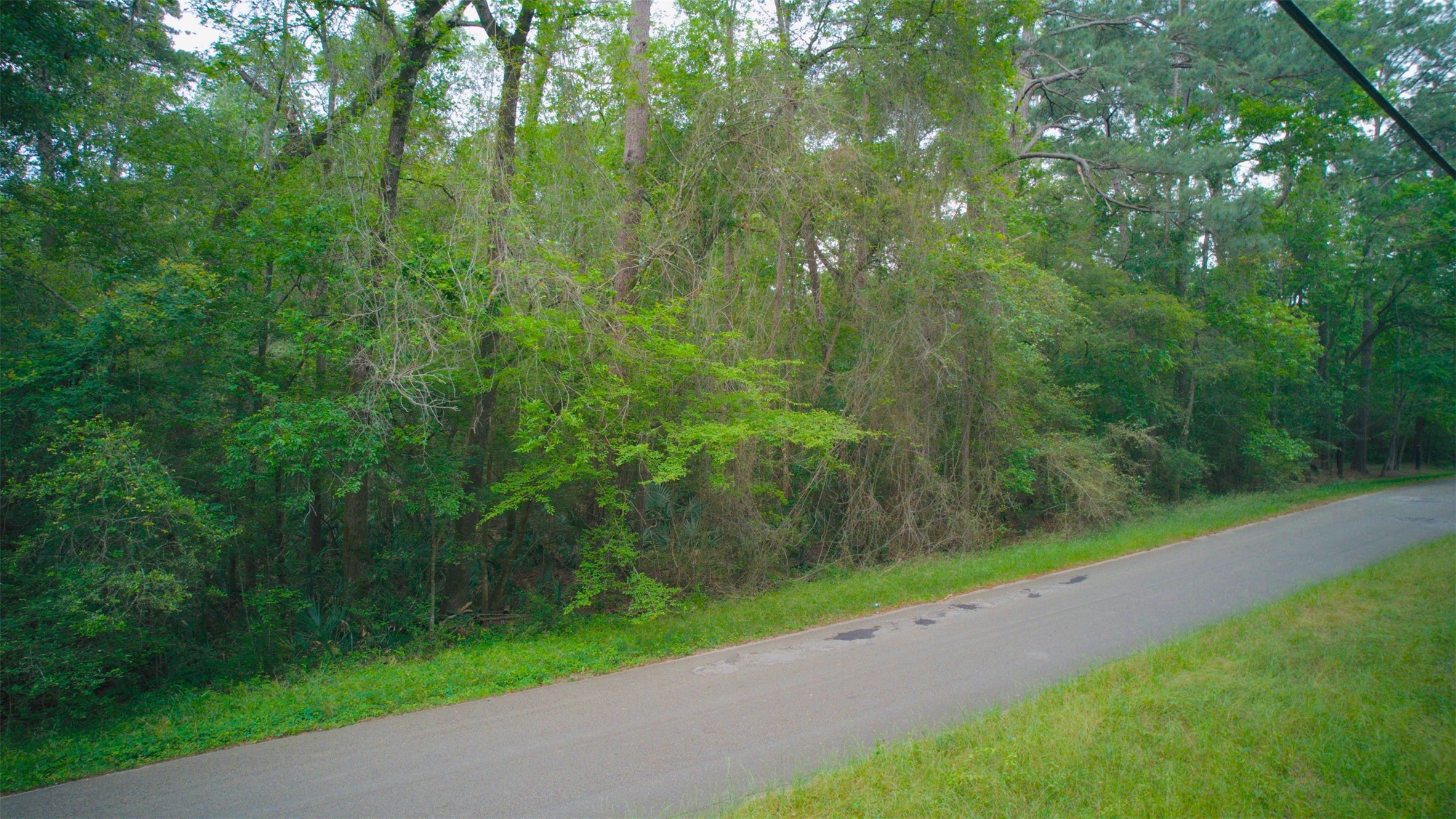 0 Magnolia Bend Dr Property Photo 5