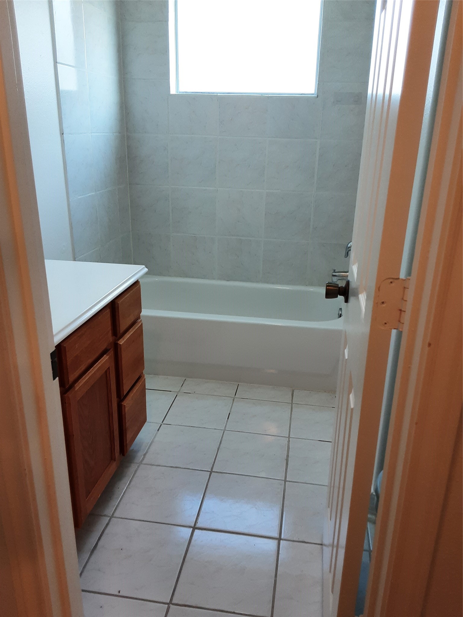 11827 Cape Hyannis Drive Property Photo 6