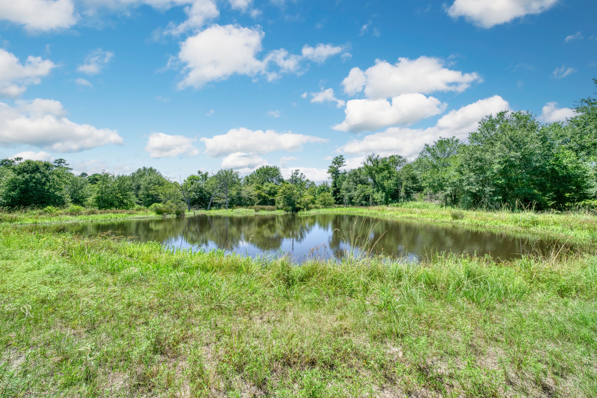 6464 County Road 146 Property Photo 31