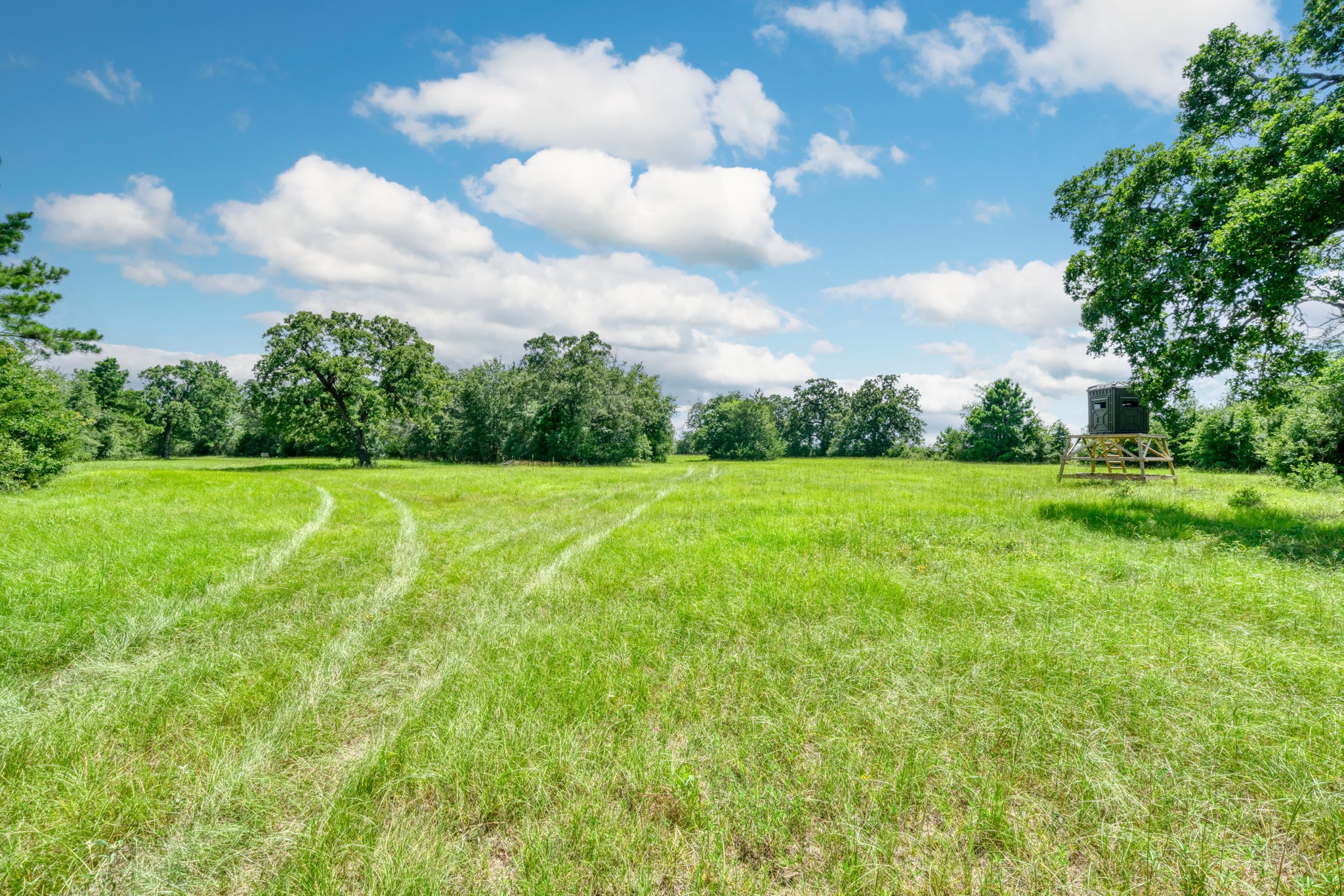 6464 County Road 146 Property Photo 48
