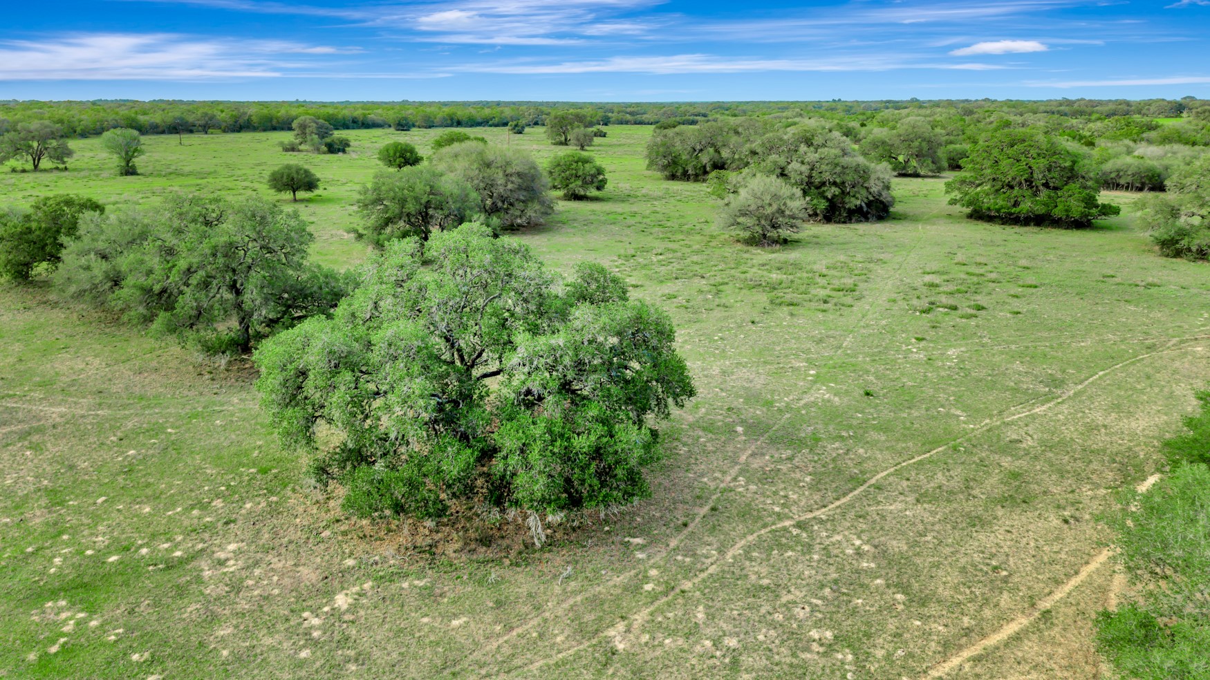 16297b State Highway 111 E Property Photo 19