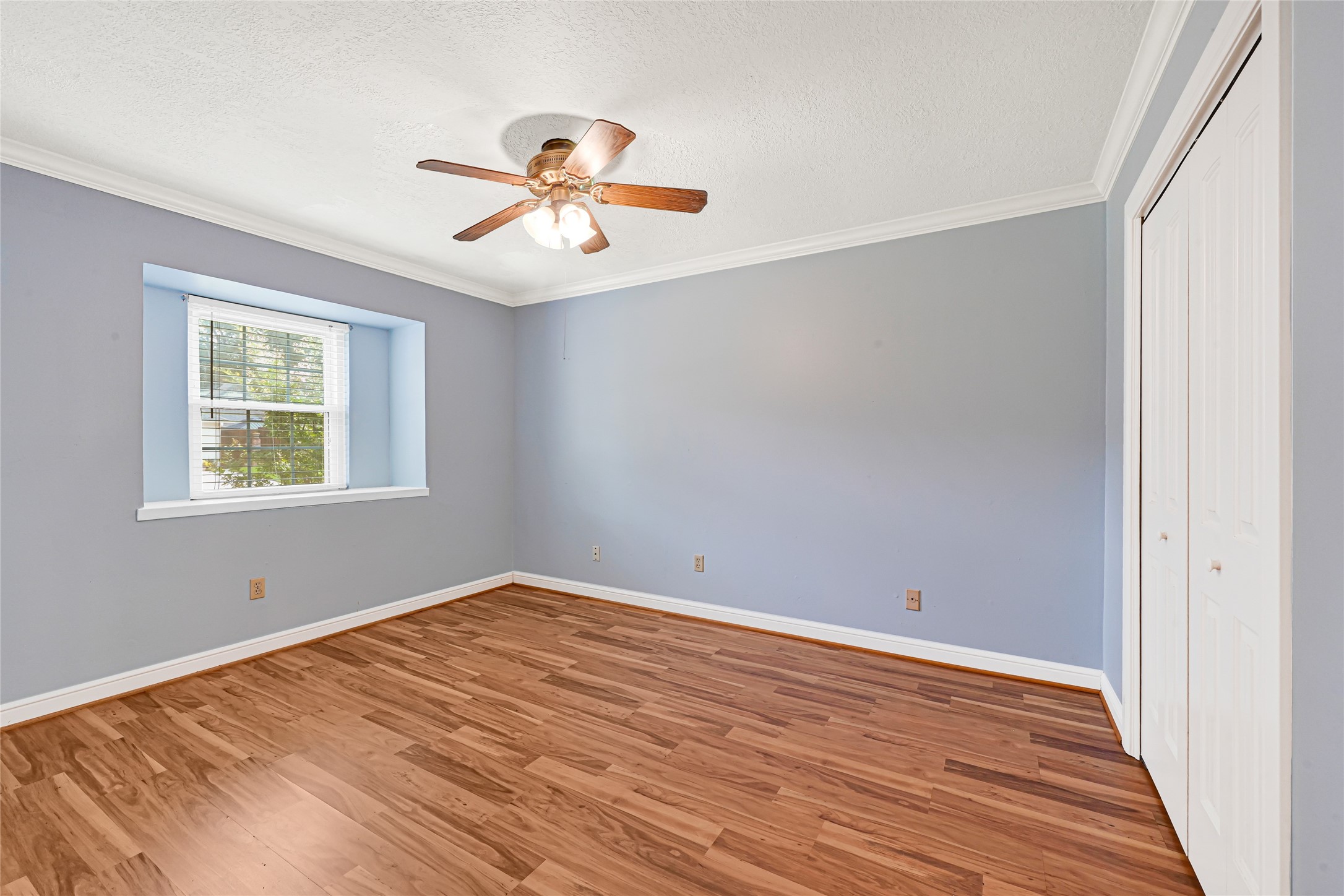 2426 Deasa Drive Property Photo 14