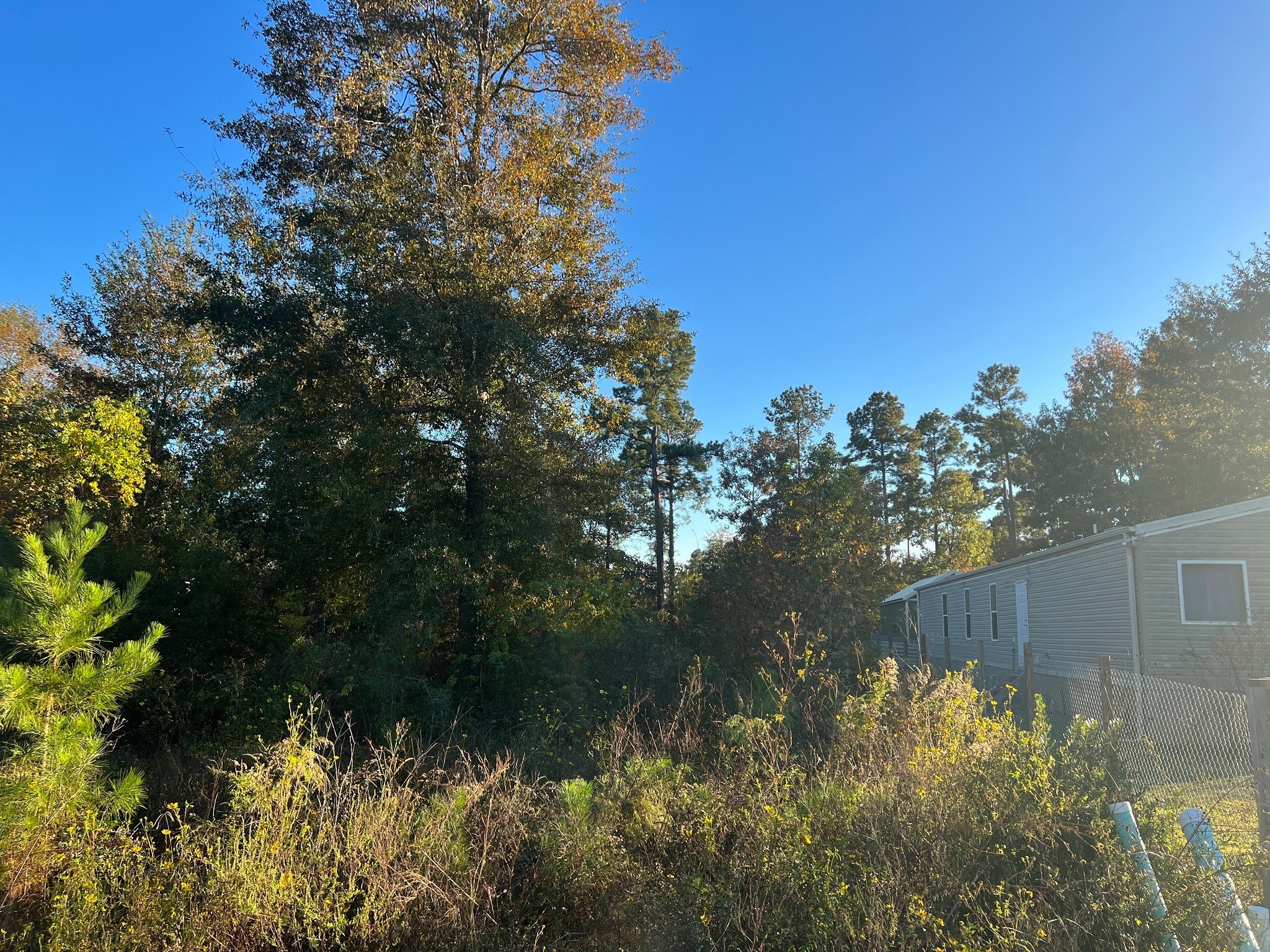 146 County Road 3479a Property Photo 2