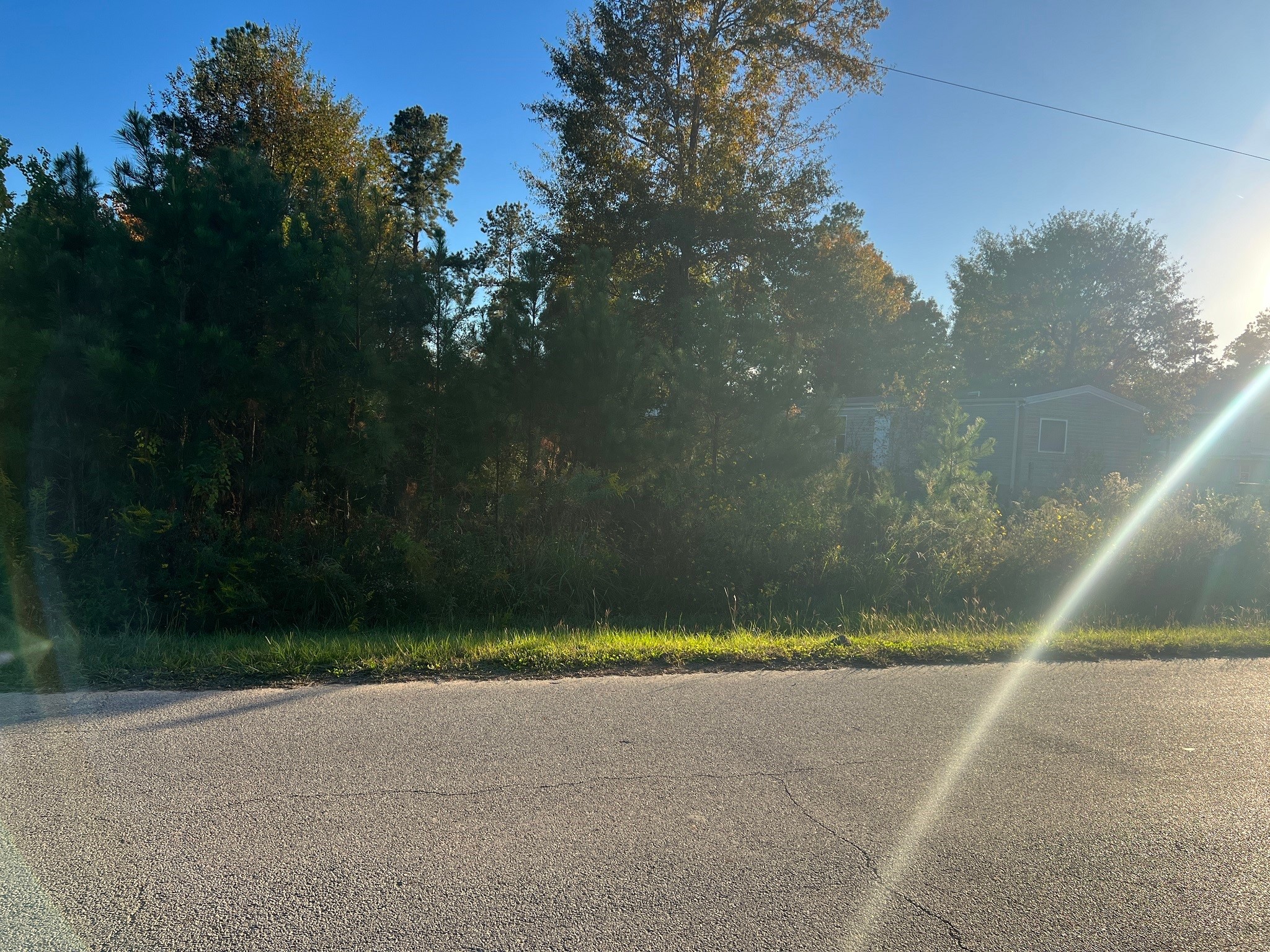 146 County Road 3479a Property Photo 4