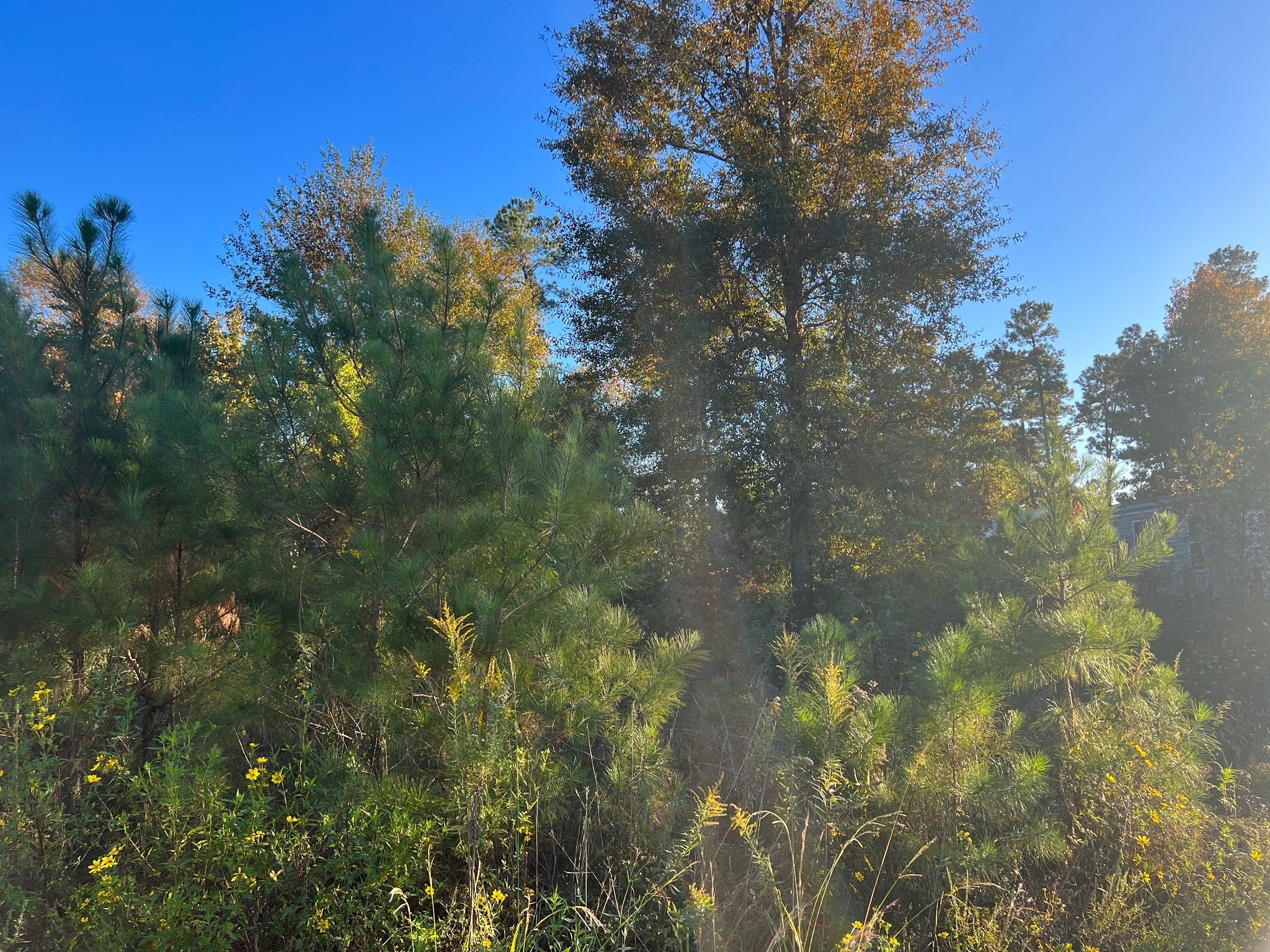 146 County Road 3479a Property Photo 5