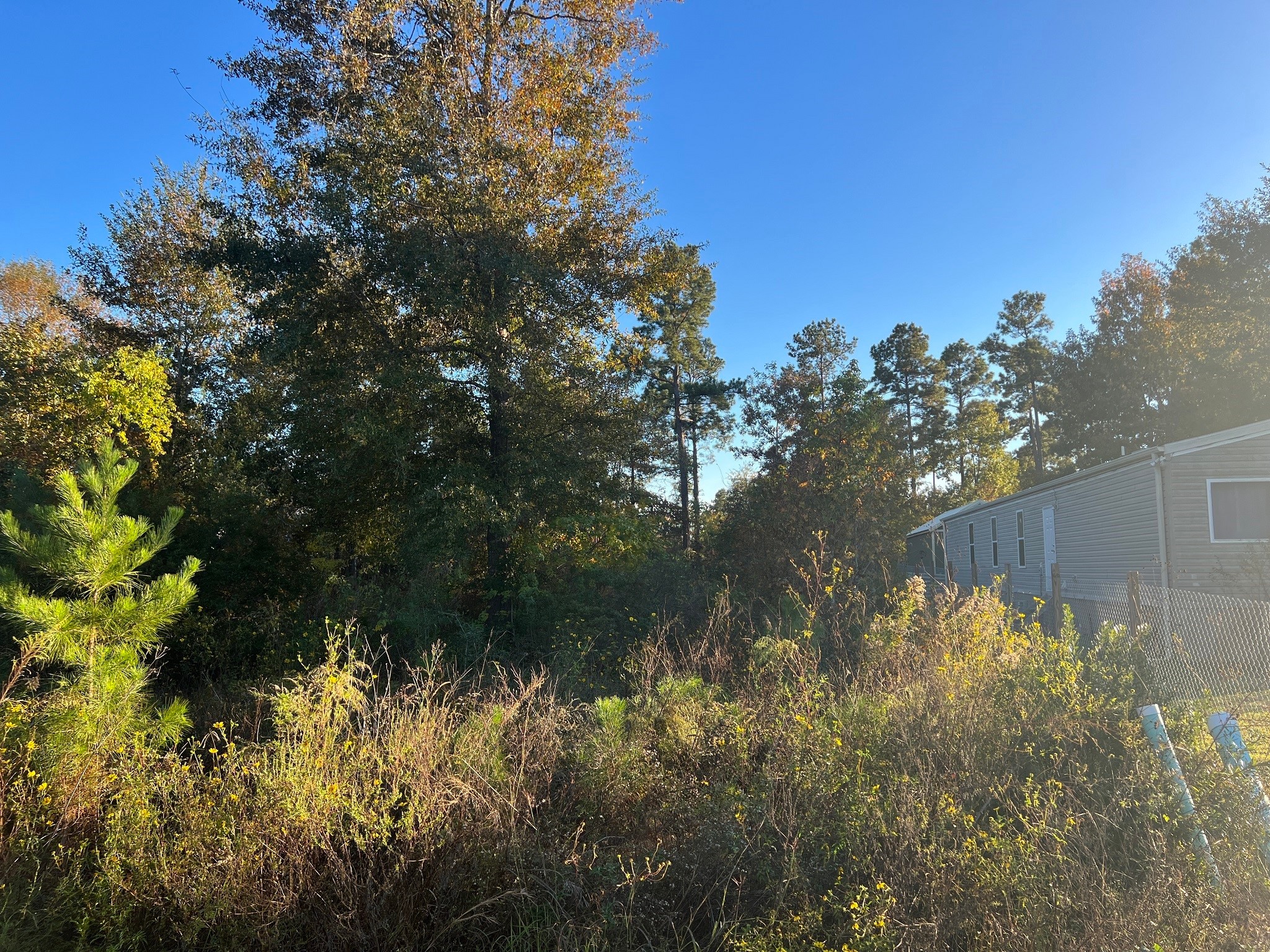 146 County Road 3479a Property Photo 6