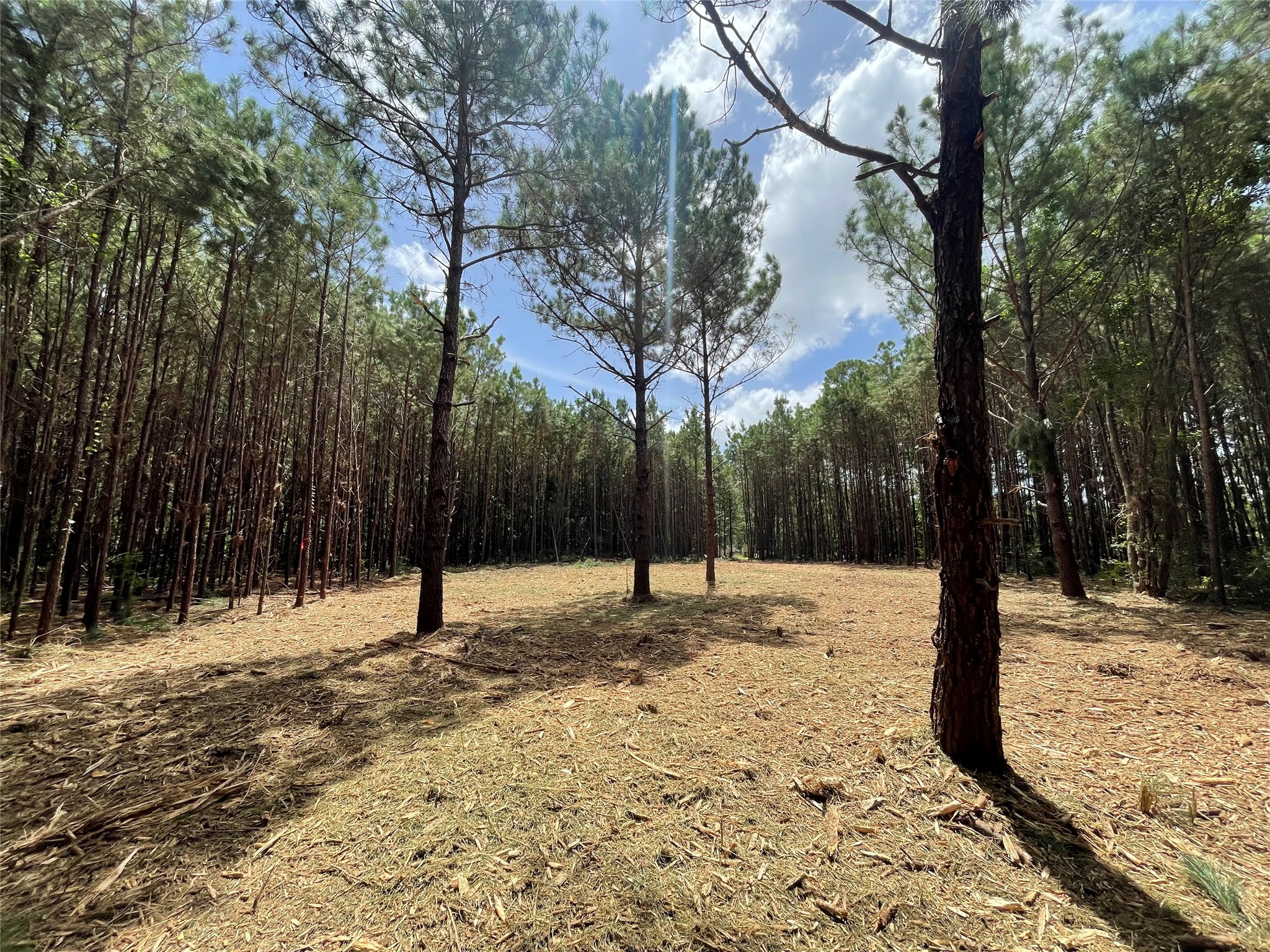 Lot 2 E Fm 942 Property Photo 5