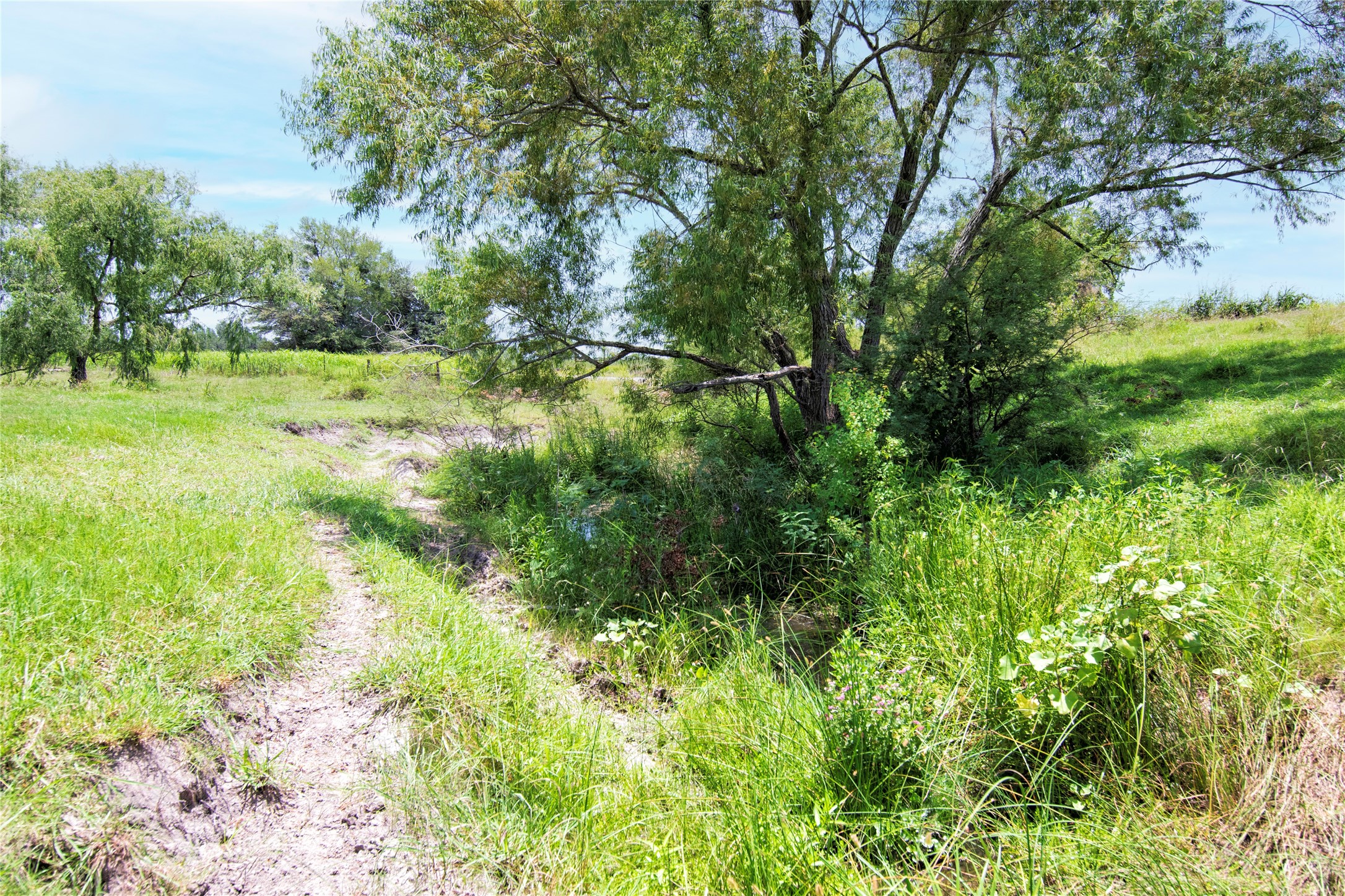 1354 County Road 281 Property Photo 16