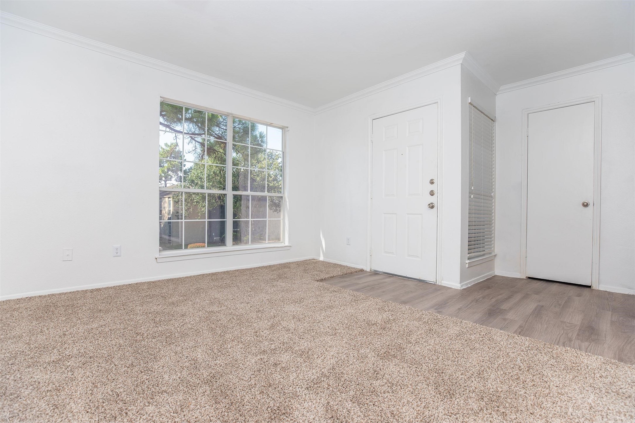 1100 Graham Drive 1811 Property Photo 4