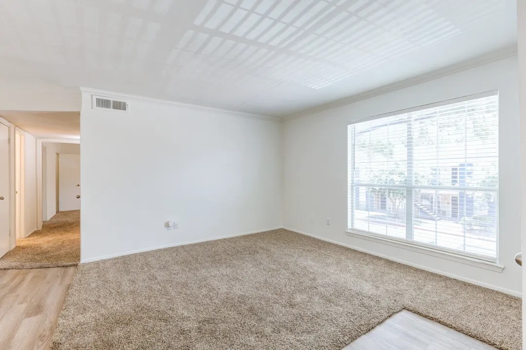 1100 Graham Drive 1811 Property Photo 7